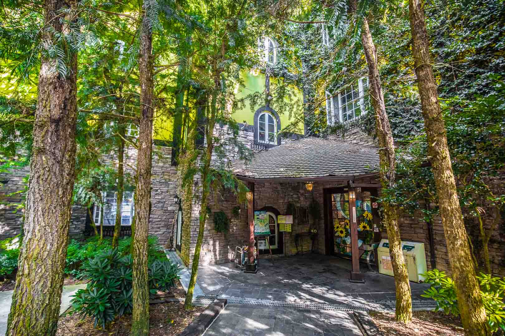 清境住宿,清境普羅旺斯玫瑰莊園,普羅旺斯玫瑰莊園,南投住宿,南投民宿,清境民宿,清境飯店