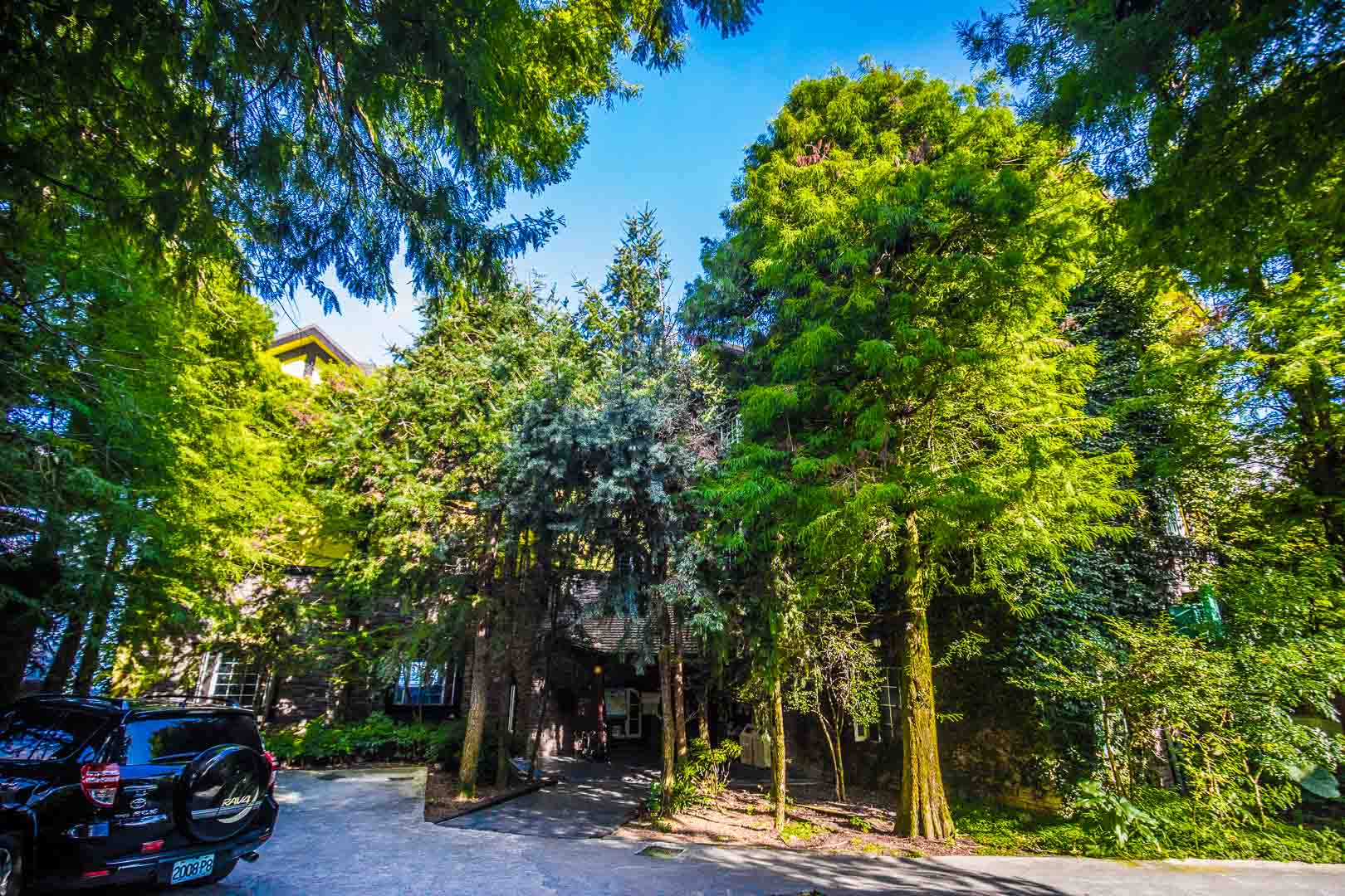 清境住宿,清境普羅旺斯玫瑰莊園,普羅旺斯玫瑰莊園,南投住宿,南投民宿,清境民宿,清境飯店
