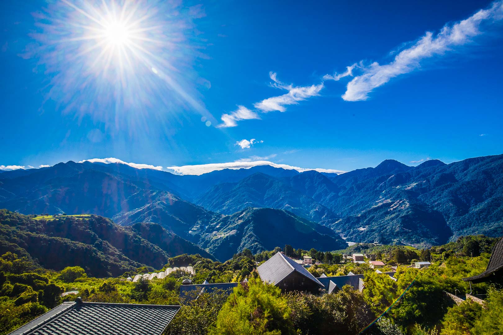 清境住宿,清境普羅旺斯玫瑰莊園,普羅旺斯玫瑰莊園,南投住宿,南投民宿,清境民宿,清境飯店