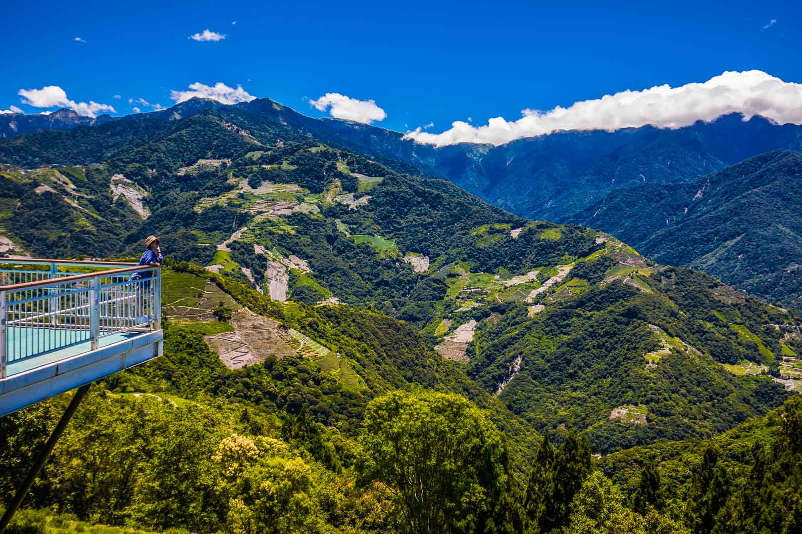清境住宿,清境普羅旺斯玫瑰莊園,普羅旺斯玫瑰莊園,南投住宿,南投民宿,清境民宿,清境飯店