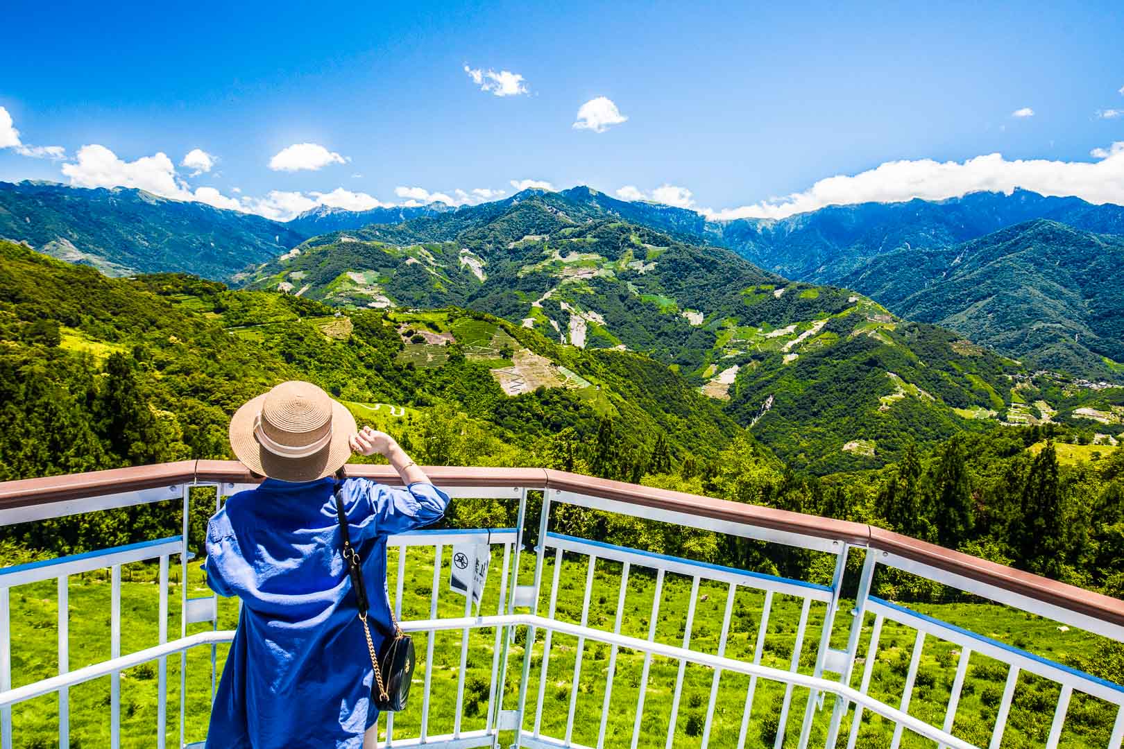 清境住宿,清境普羅旺斯玫瑰莊園,普羅旺斯玫瑰莊園,南投住宿,南投民宿,清境民宿,清境飯店