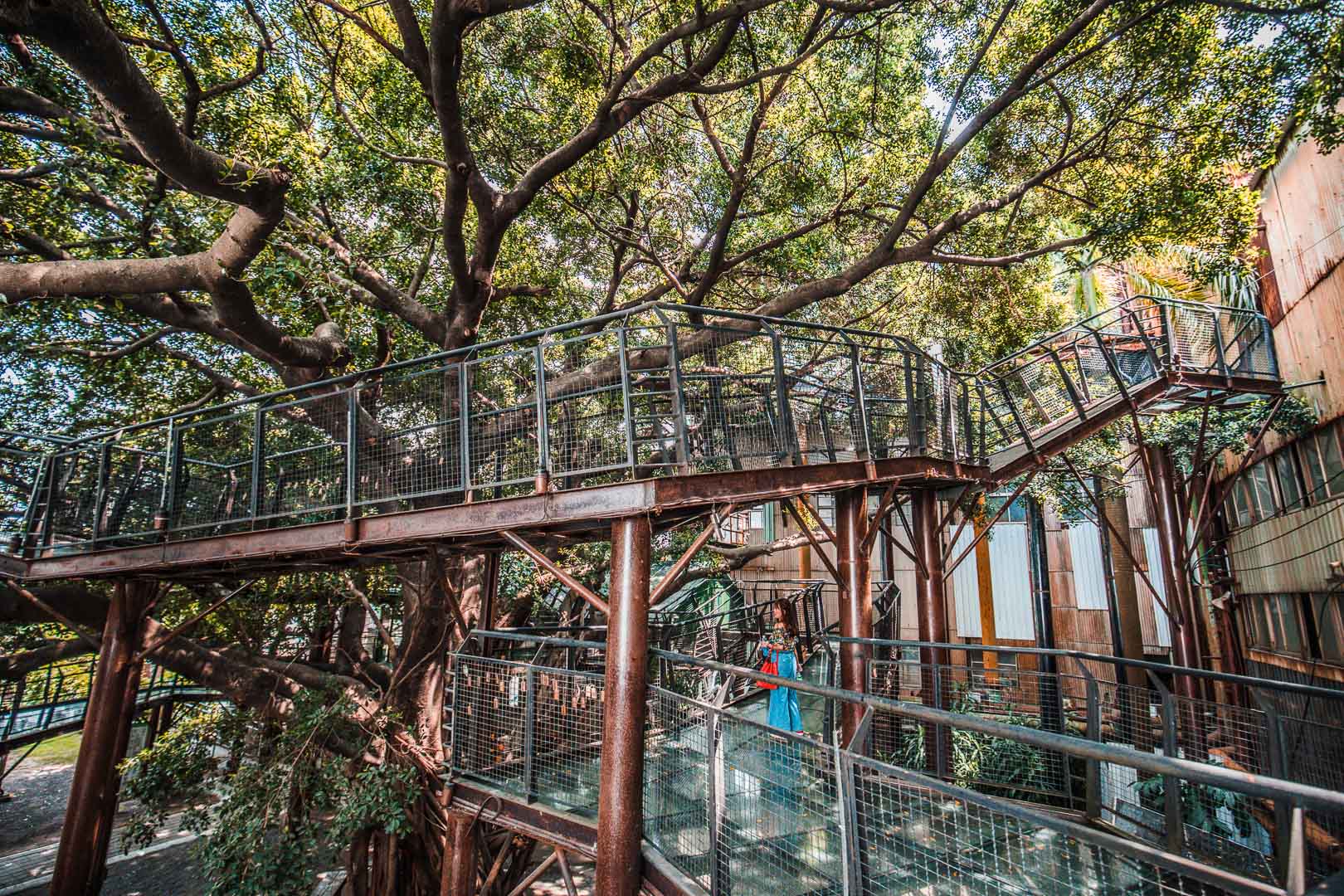 台南親子景點,台南IG景點,台南必玩,十鼓仁糖文創園區,台南十鼓仁糖文創園區,台南旅遊,台南景點