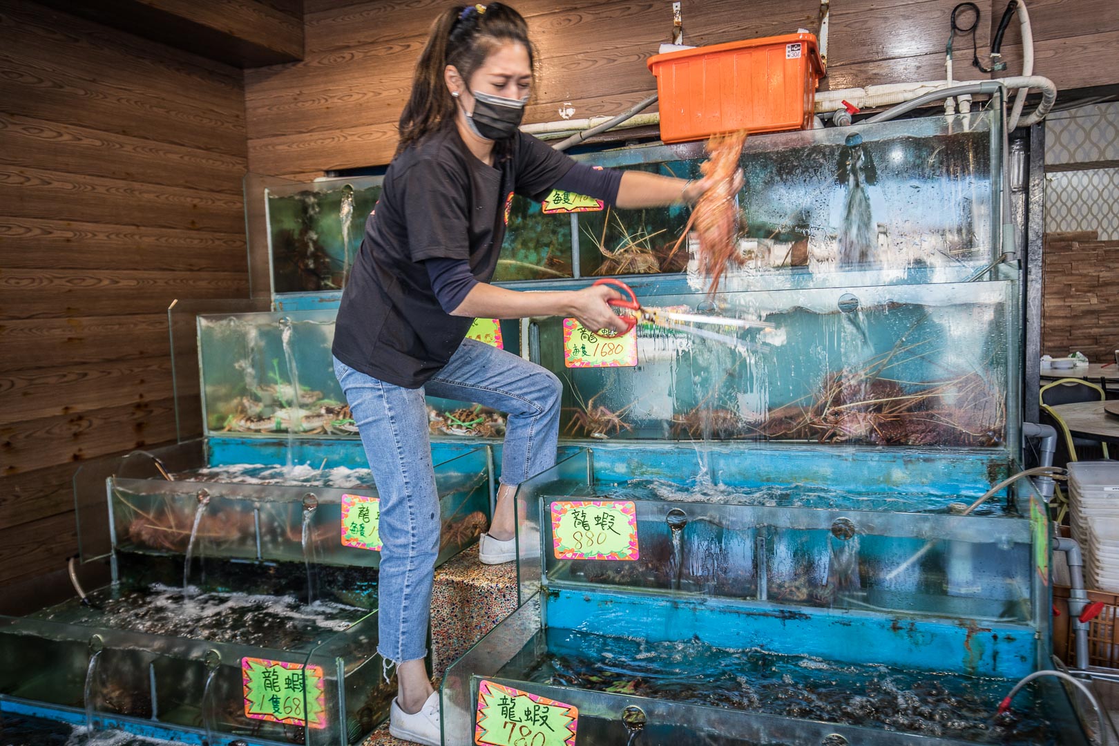 野柳望海亭海鮮餐廳,野柳美食
