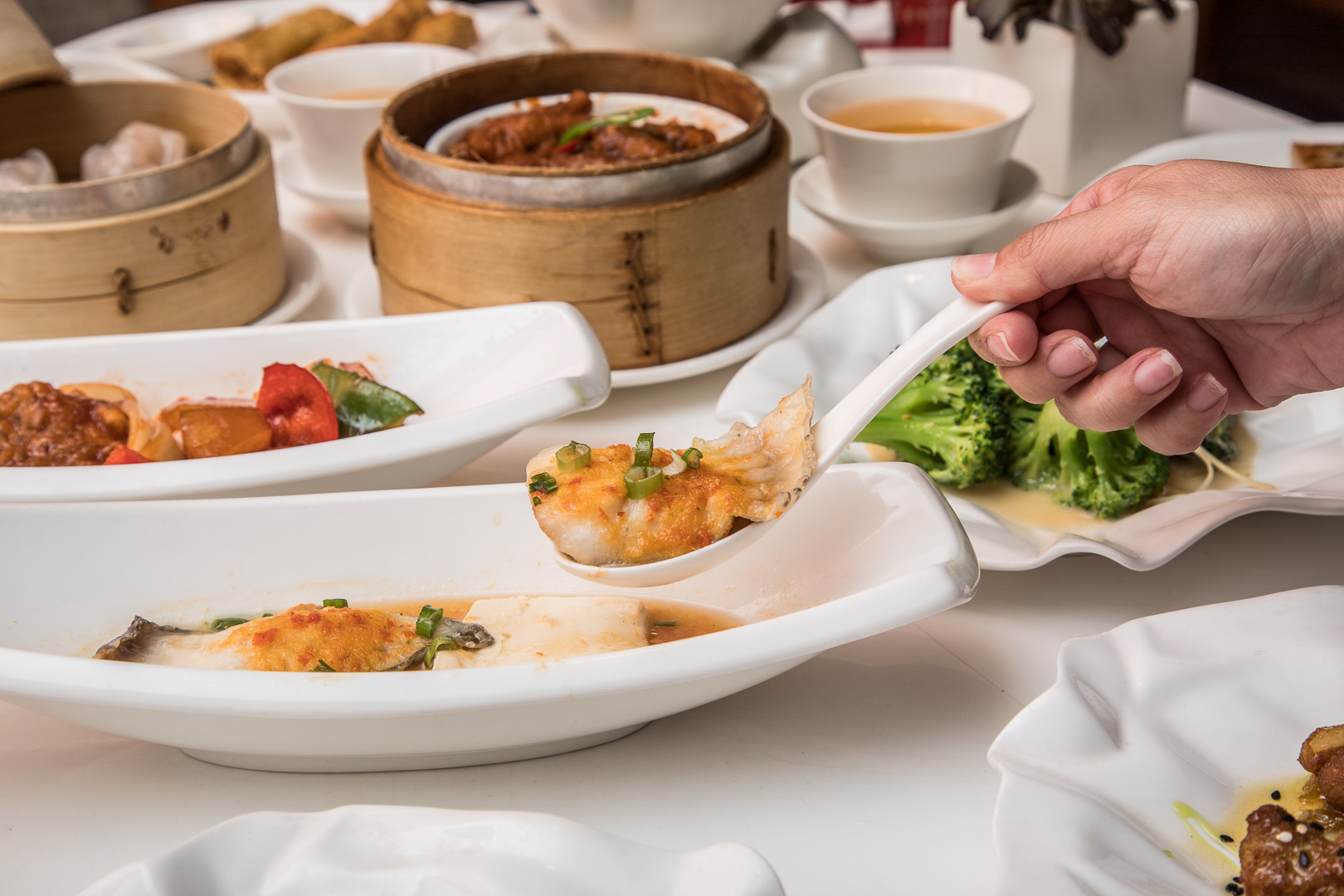 台北吃到飽,板橋吃到飽,板橋美食,台北港點吃到飽,台北中菜吃到飽,板橋凱撒家宴中餐廳,板橋凱撒家宴中餐廳港點吃到飽,板橋凱撒吃到飽
