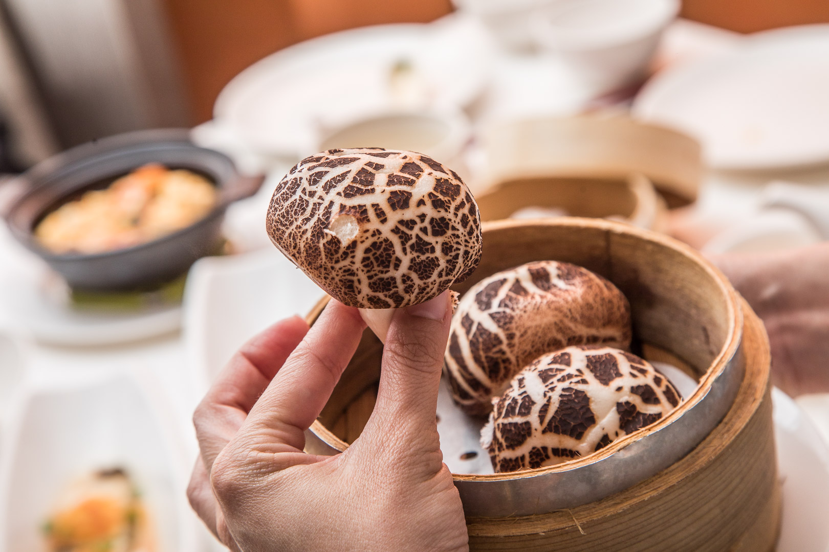 台北吃到飽,板橋吃到飽,板橋美食,台北港點吃到飽,台北中菜吃到飽,板橋凱撒家宴中餐廳,板橋凱撒家宴中餐廳港點吃到飽,板橋凱撒吃到飽