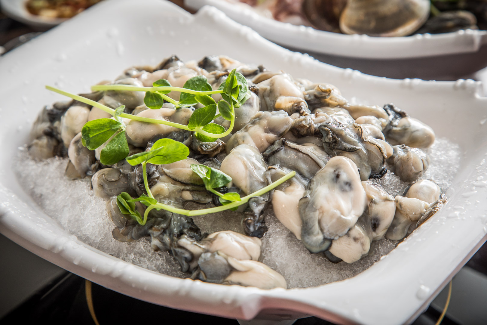 龍安街美食,桃園鍋物,桃園平價火鍋,桃園八方悅鍋物,桃園八方悅,龍安街火鍋,八方悅鍋物-桃園龍安店,桃園火鍋,桃園海鮮火鍋,桃園小火鍋