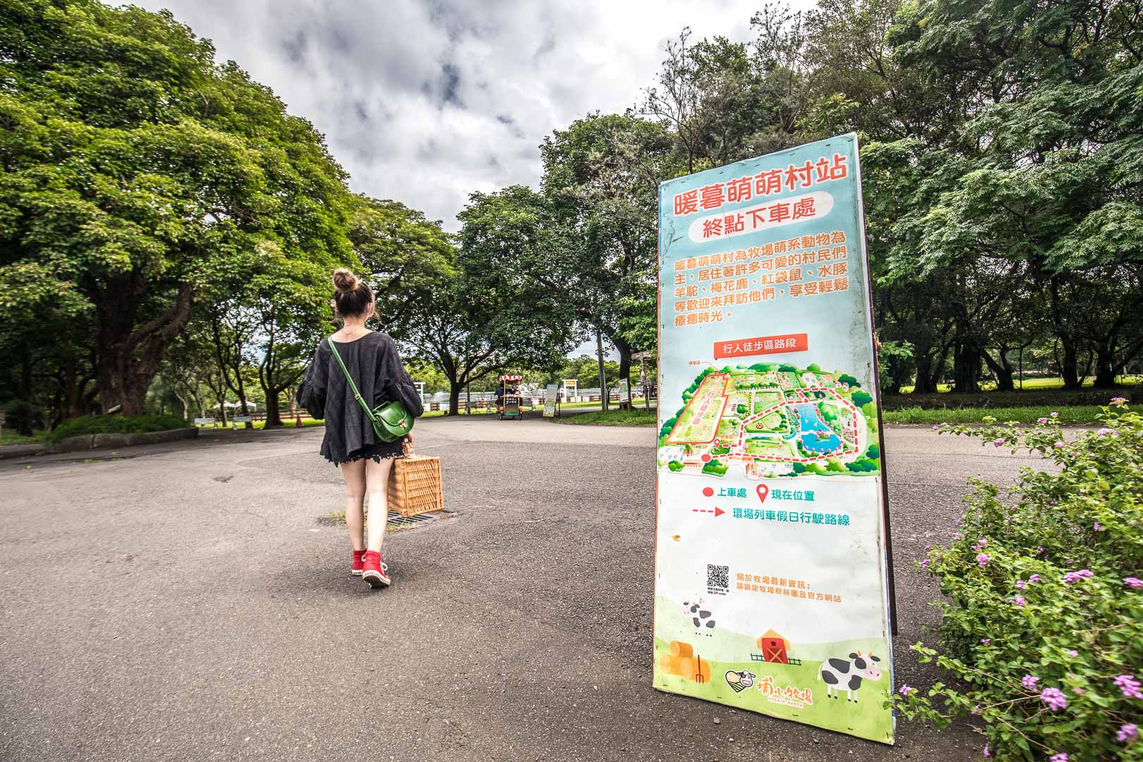 桃園景點,埔心牧場,暖暮萌萌村,埔心牧場暖暮萌萌村,桃園梅花鹿,桃園水豚君,桃園水豚,埔心牧場水豚