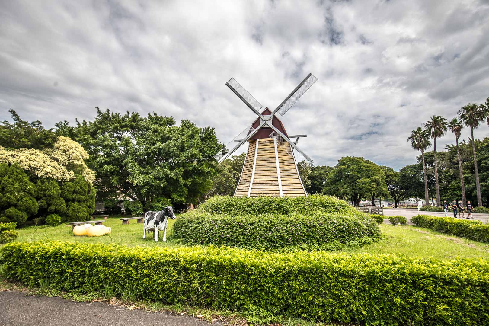 桃園景點,埔心牧場,暖暮萌萌村,埔心牧場暖暮萌萌村,桃園梅花鹿,桃園水豚君,桃園水豚,埔心牧場水豚