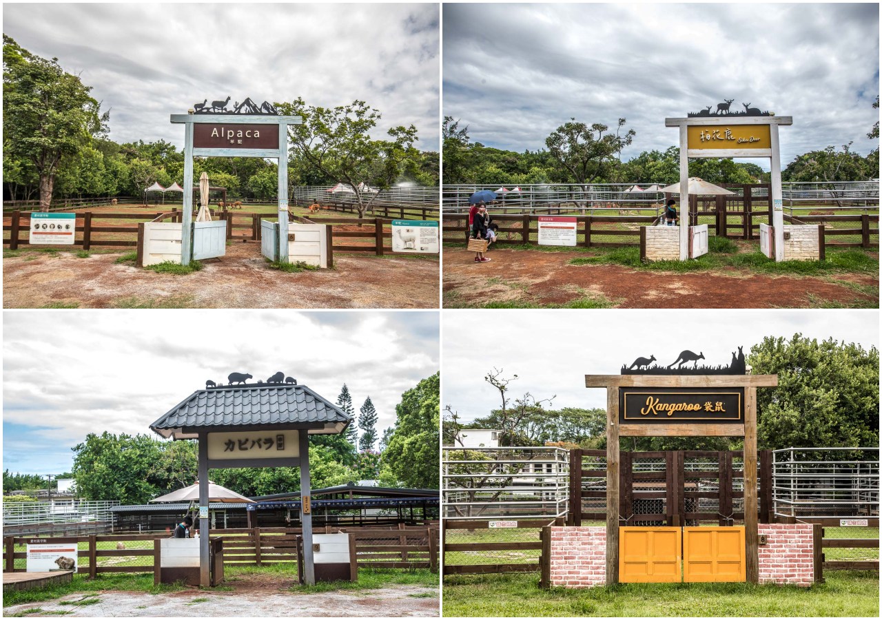 桃園景點,埔心牧場,暖暮萌萌村,埔心牧場暖暮萌萌村,桃園梅花鹿,桃園水豚君,桃園水豚,埔心牧場水豚