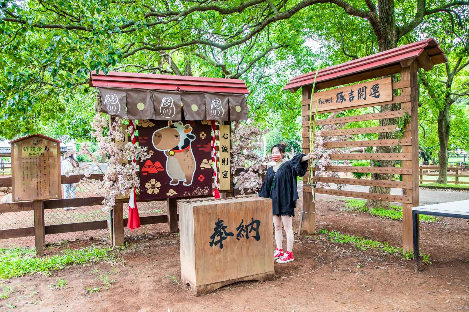 桃園景點,埔心牧場,暖暮萌萌村,埔心牧場暖暮萌萌村,桃園梅花鹿,桃園水豚君,桃園水豚,埔心牧場水豚