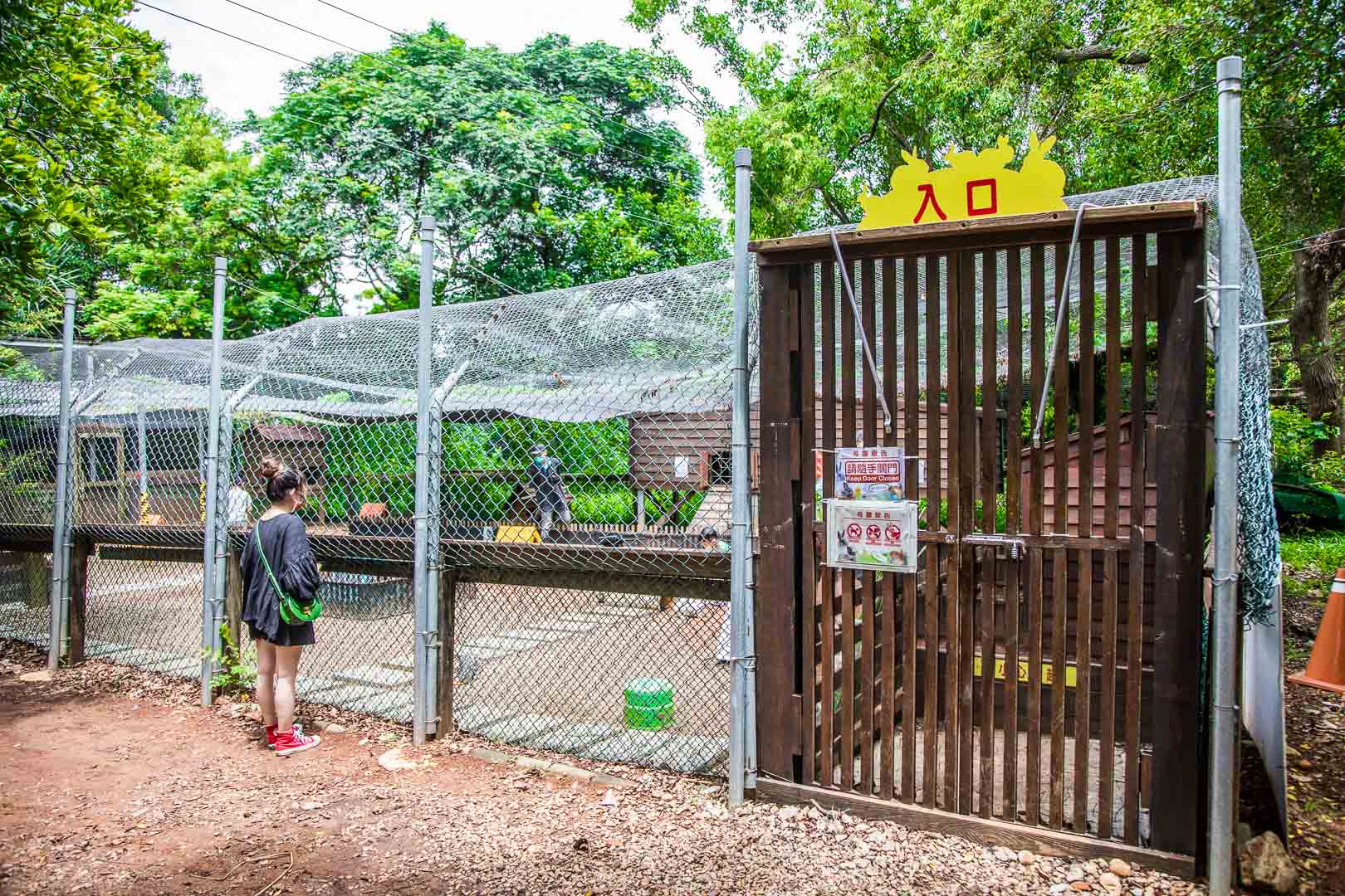 桃園景點,埔心牧場,暖暮萌萌村,埔心牧場暖暮萌萌村,桃園梅花鹿,桃園水豚君,桃園水豚,埔心牧場水豚