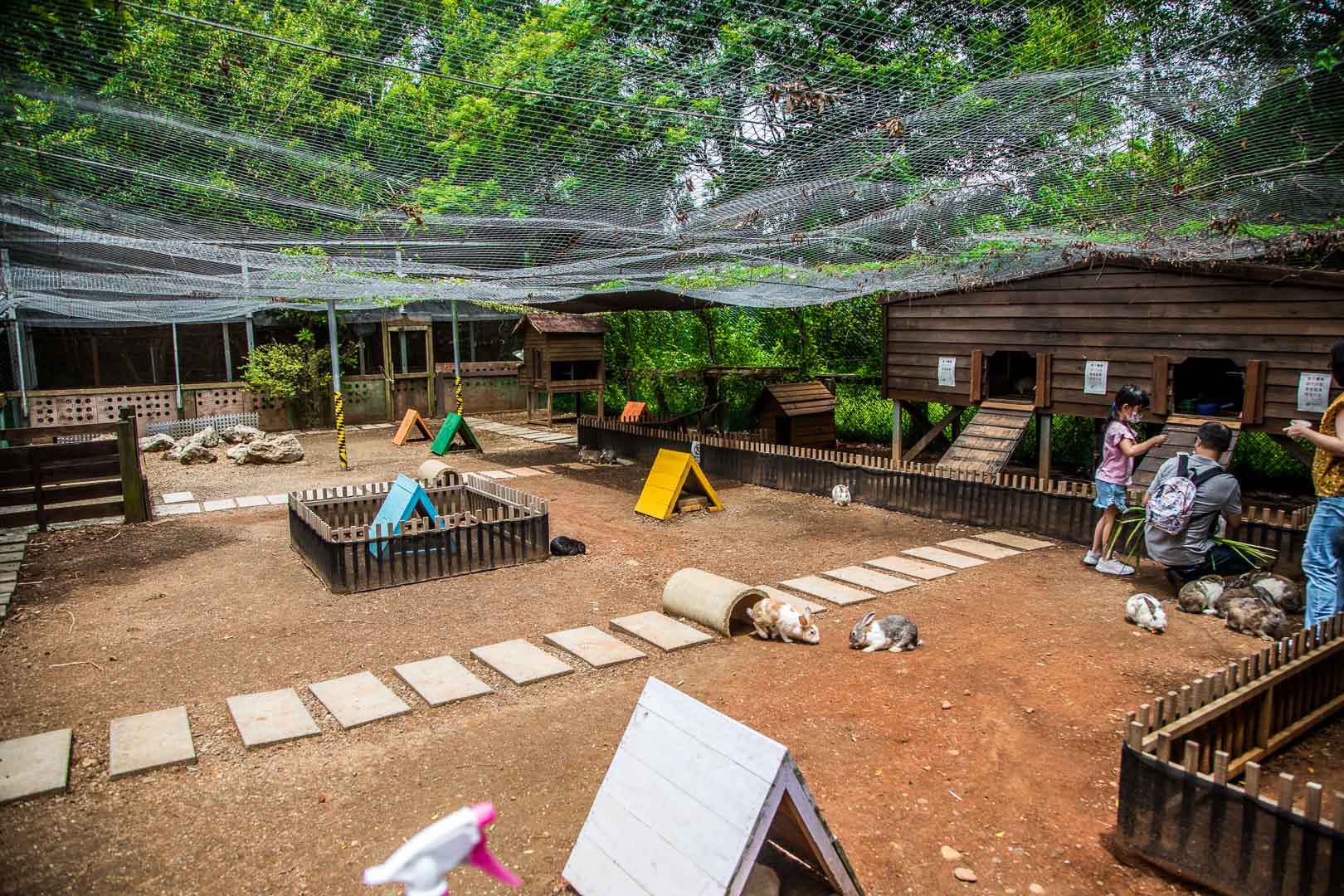 桃園景點,埔心牧場,暖暮萌萌村,埔心牧場暖暮萌萌村,桃園梅花鹿,桃園水豚君,桃園水豚,埔心牧場水豚