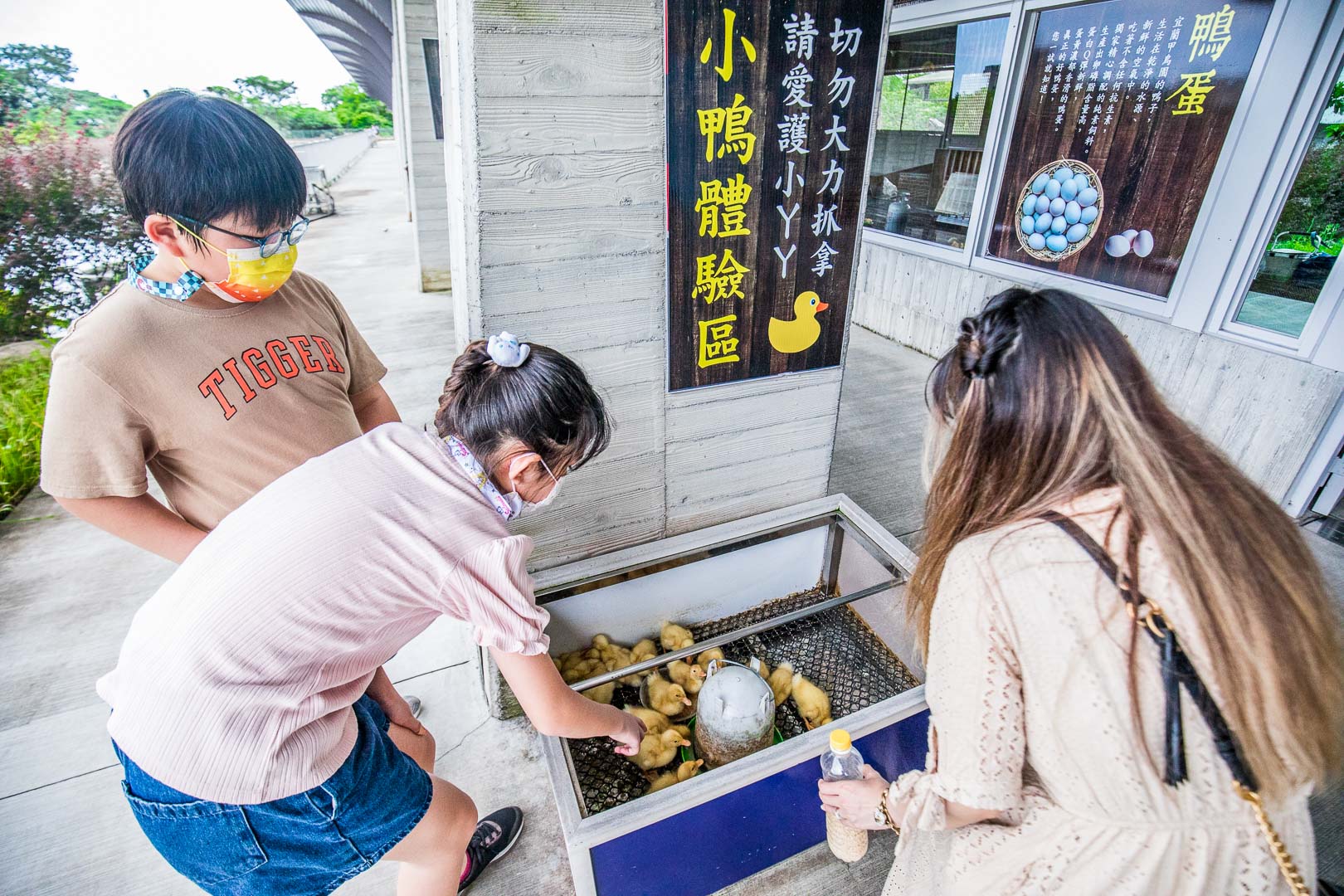 宜蘭景點,宜蘭親子景點,礁溪親子景點,礁溪景點,甲鳥園複合式養鴨農場