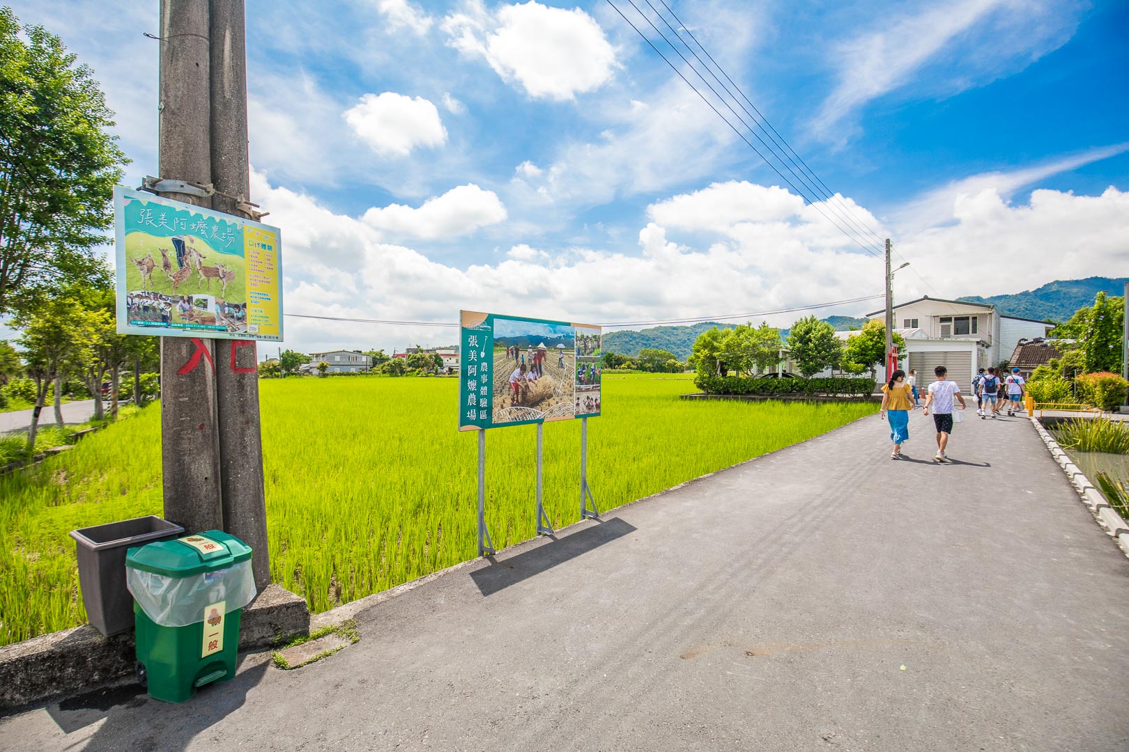 宜蘭動物農場,宜蘭小動物,宜蘭農場,宜蘭水豚君,宜蘭草泥馬,宜蘭梅花鹿,宜蘭水豚,張美阿嬤農場,宜蘭張美阿嬤農場,宜蘭親子景點,宜蘭親子農場