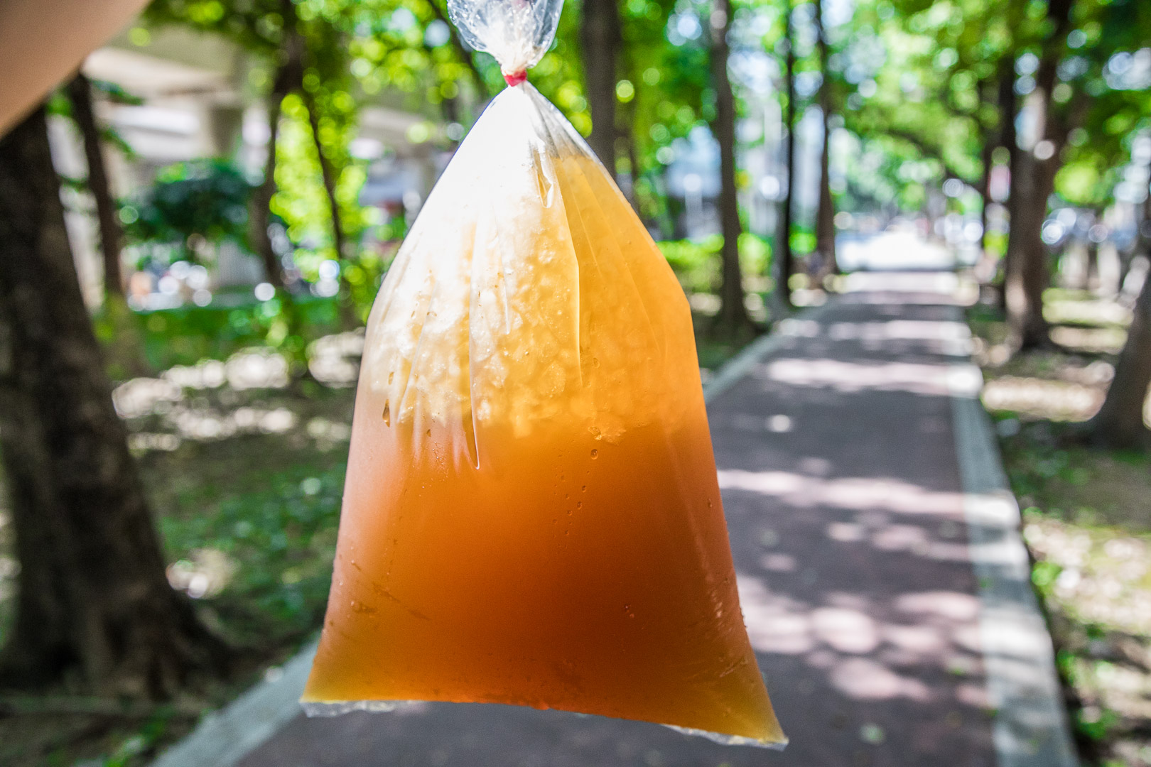 台北美食,北投美食,台北茶飲,北投無憂茶,北投茶飲,台北無憂茶,台北紅茶,北投紅茶,北投捷運站美食,高興無憂茶莊