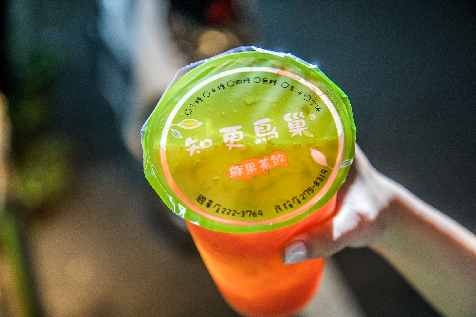嘉義飲料,嘉義葡萄柚綠茶,嘉義手搖飲,嘉義知更鳥巢鮮果茶飲,知更鳥巢鮮果茶飲,知更鳥巢葡萄柚綠茶,嘉義美食