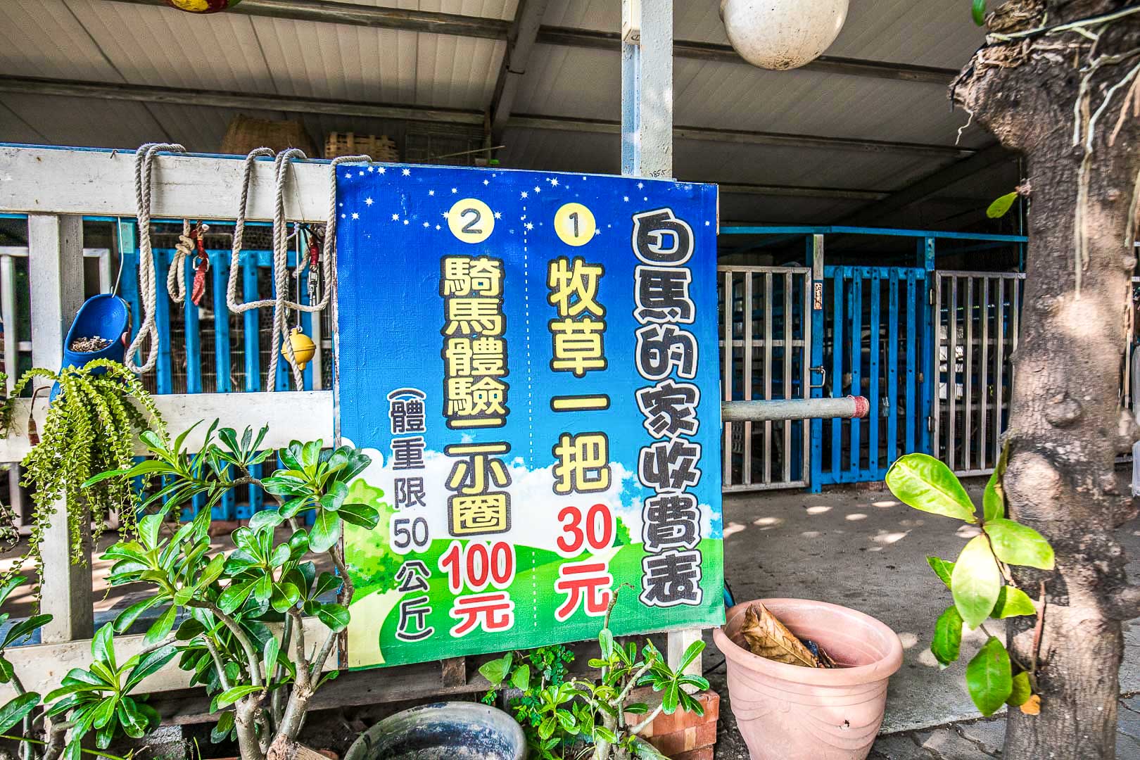 白馬的家,彰化IG景點,彰化網美景點,彰化景點,彰化親子景點,彰化農場,彰化小馬,彰化白馬農場