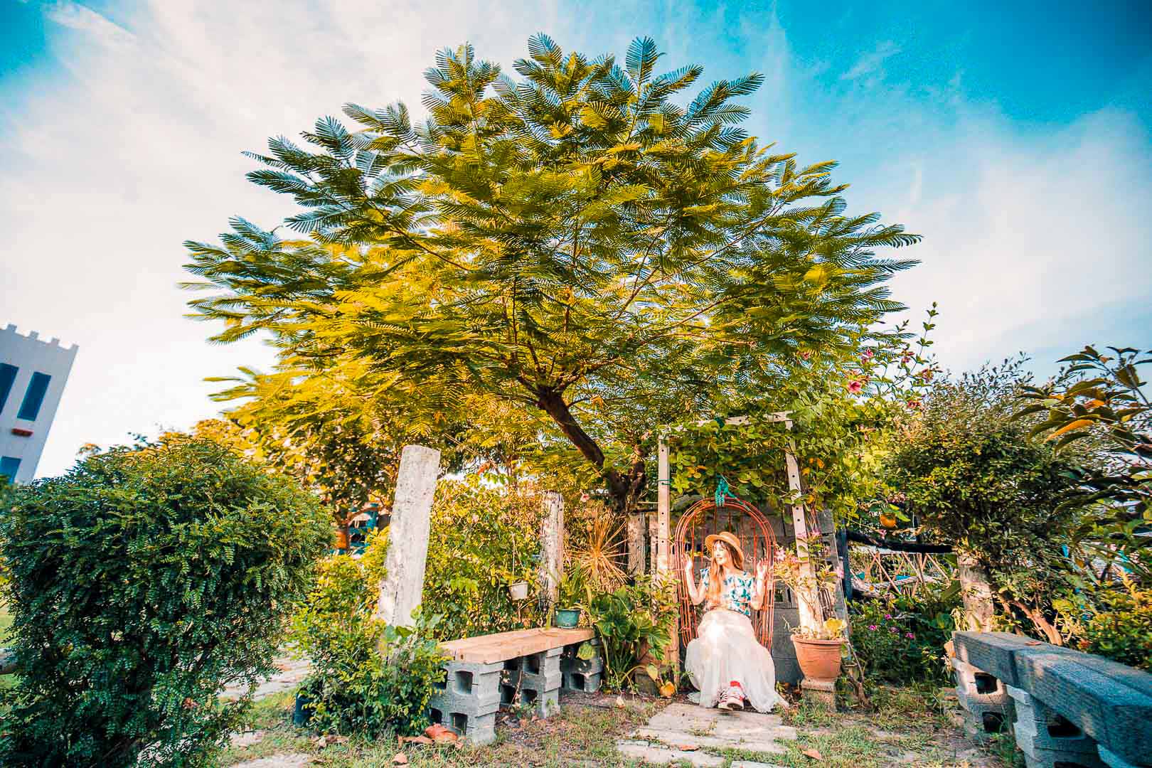 白馬的家,彰化IG景點,彰化網美景點,彰化景點,彰化親子景點,彰化農場,彰化小馬,彰化白馬農場