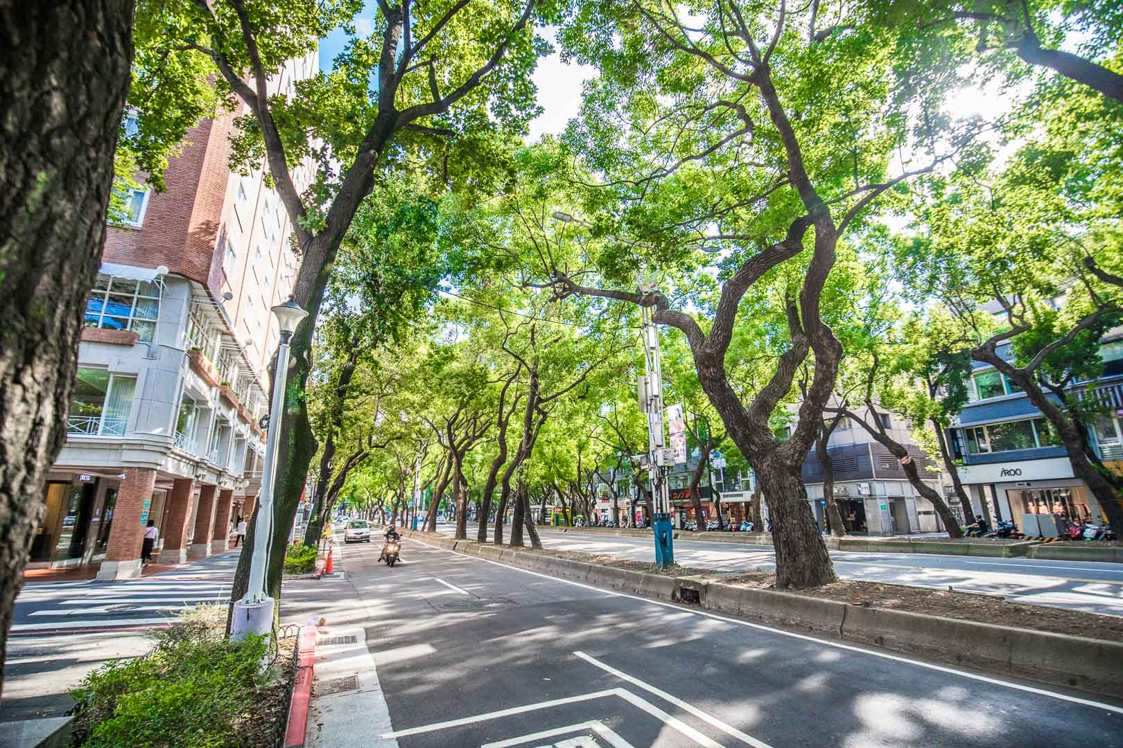 台北美食,赤峰街美食,赤峰街景點,台北文青景點,台北晶華酒店,台北島內散步,赤峰街島內散步,午後，一個人的赤峰散策時光,台北景點