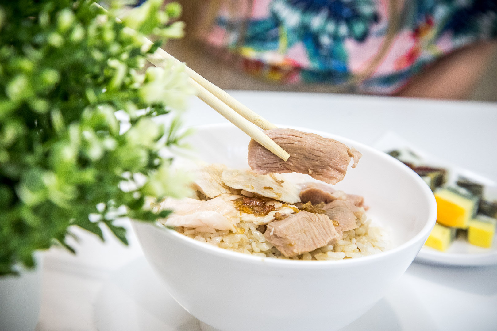 嘉義美食,嘉義雞肉飯,嘉義火雞肉飯,嘉義火雞肉片飯,嘉義火雞肉飯推薦,嘉義涼菜,嘉義莊家火雞肉飯,莊家火雞肉飯