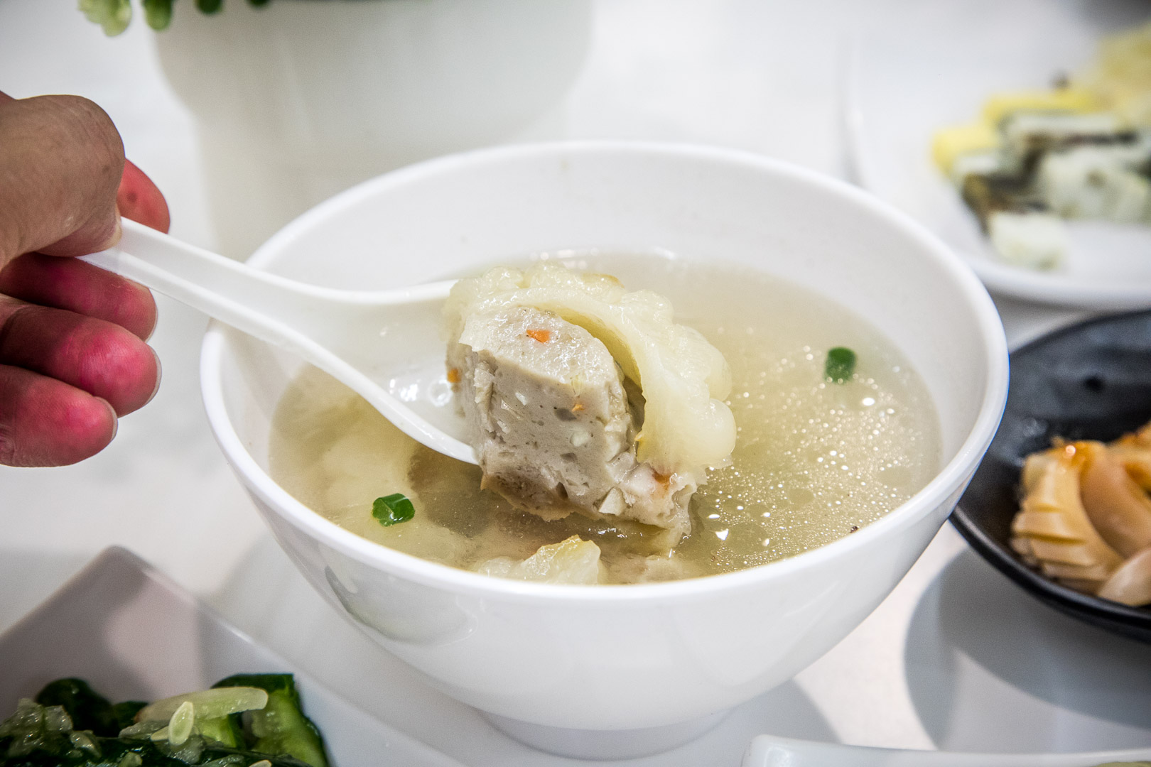 嘉義美食,嘉義雞肉飯,嘉義火雞肉飯,嘉義火雞肉片飯,嘉義火雞肉飯推薦,嘉義涼菜,嘉義莊家火雞肉飯,莊家火雞肉飯