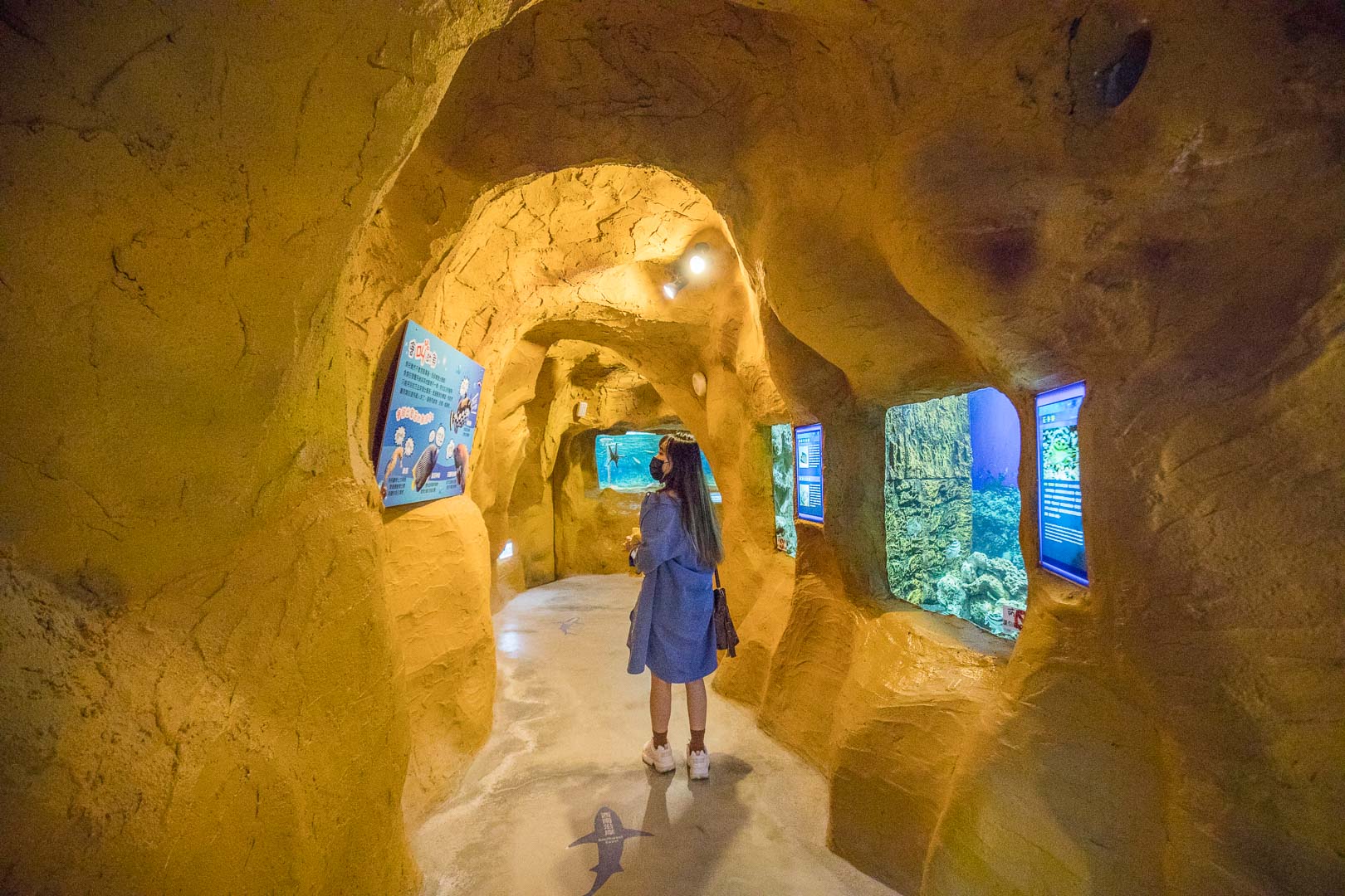 台北親子公園,台北海洋世界,野柳海洋世界,野柳景點,野柳海豚秀,野柳海洋劇場,東北角景點,東北角親子,野柳童樂趴樂園,台北親子樂園