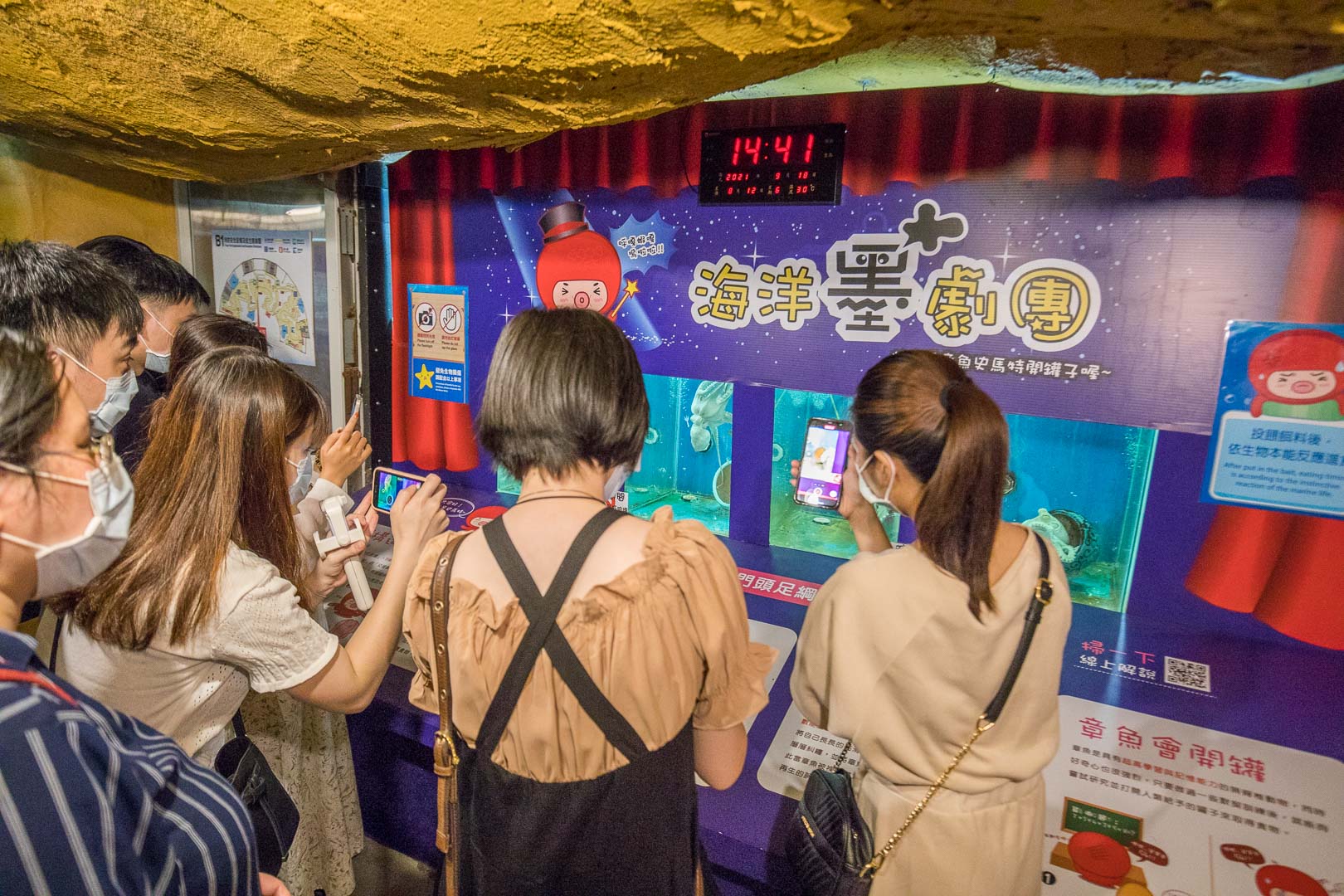 台北親子公園,台北海洋世界,野柳海洋世界,野柳景點,野柳海豚秀,野柳海洋劇場,東北角景點,東北角親子,野柳童樂趴樂園,台北親子樂園