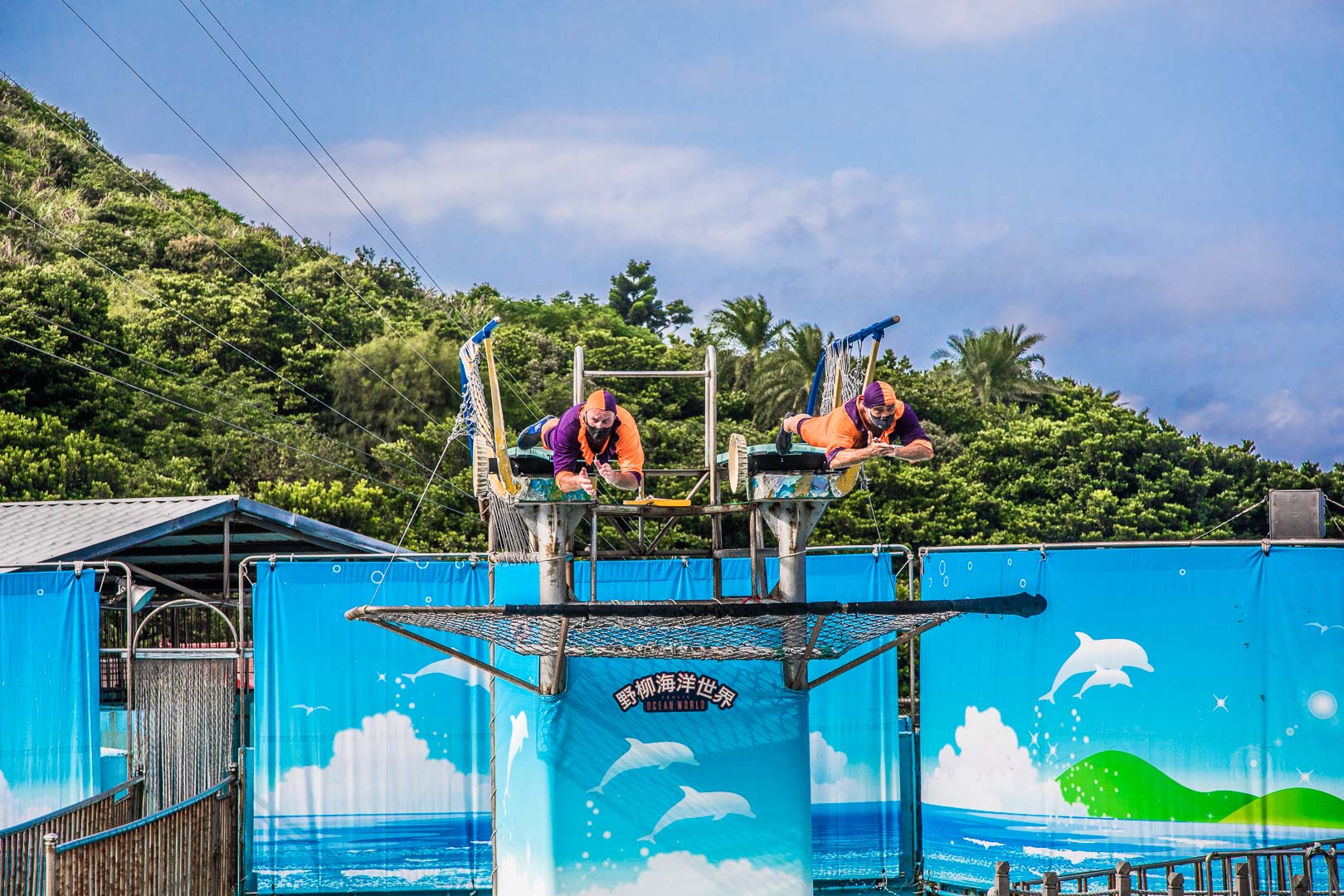 台北親子公園,台北海洋世界,野柳海洋世界,野柳景點,野柳海豚秀,野柳海洋劇場,東北角景點,東北角親子,野柳童樂趴樂園,台北親子樂園