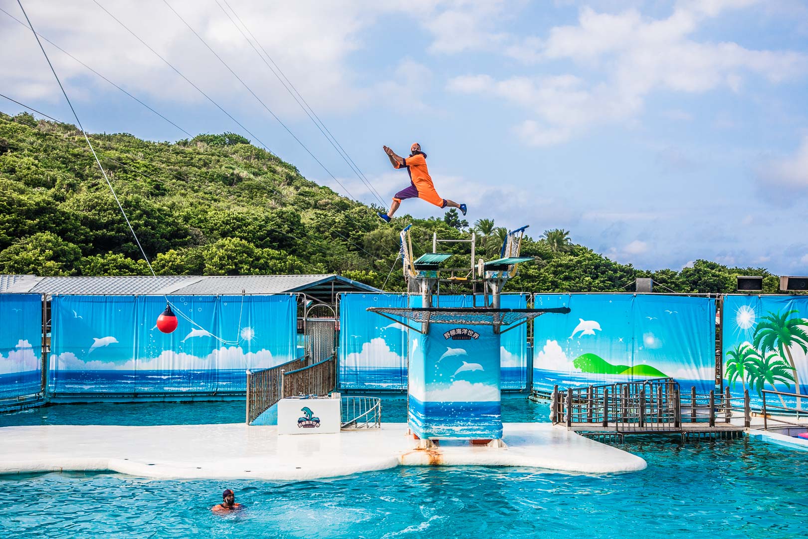 台北親子公園,台北海洋世界,野柳海洋世界,野柳景點,野柳海豚秀,野柳海洋劇場,東北角景點,東北角親子,野柳童樂趴樂園,台北親子樂園