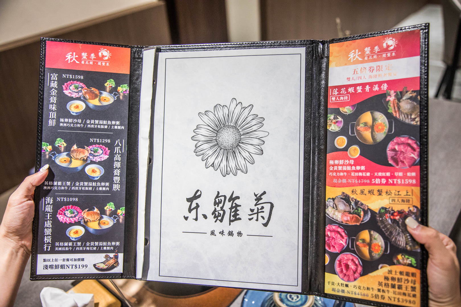 新店火鍋,東雛菊風味鍋物-七張店,新店東雛菊風味鍋物,台北捷運美食,台北海鮮火鍋,新店美食,新店火鍋推薦,台北鍋物,台北螃蟹火鍋,台北高CP值火鍋