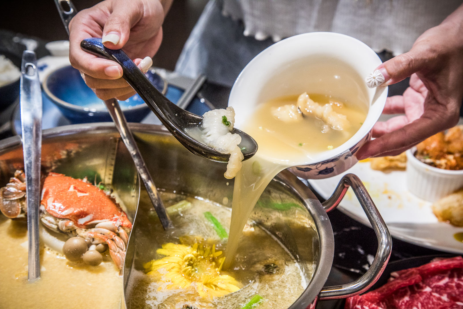 新店火鍋,東雛菊風味鍋物-七張店,新店東雛菊風味鍋物,台北捷運美食,台北海鮮火鍋,新店美食,新店火鍋推薦,台北鍋物,台北螃蟹火鍋,台北高CP值火鍋