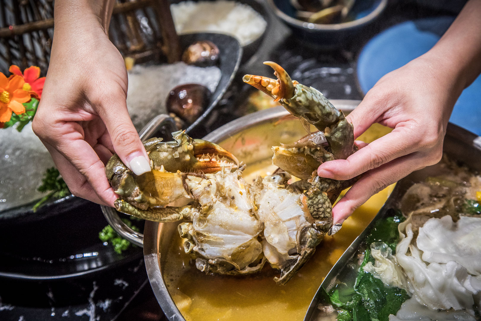 新店火鍋,東雛菊風味鍋物-七張店,新店東雛菊風味鍋物,台北捷運美食,台北海鮮火鍋,新店美食,新店火鍋推薦,台北鍋物,台北螃蟹火鍋,台北高CP值火鍋