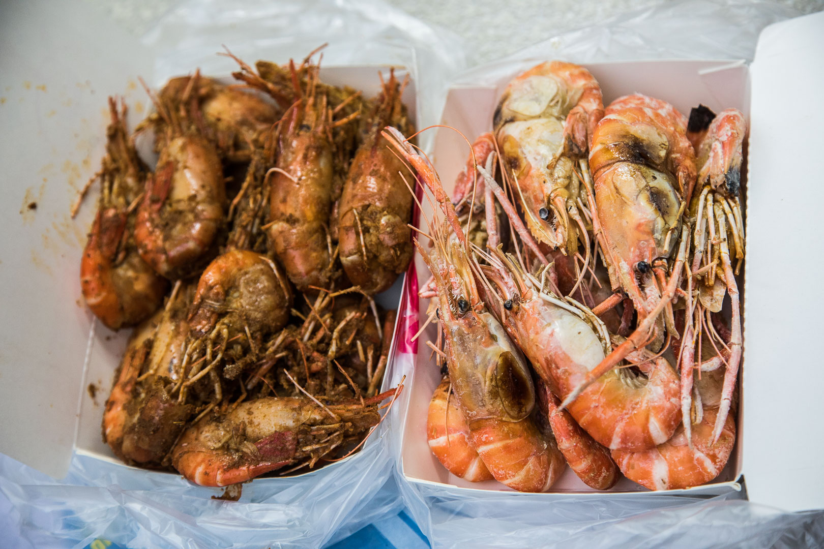中和美食,中和活蝦,景安路活蝦之家,泰國蝦推薦