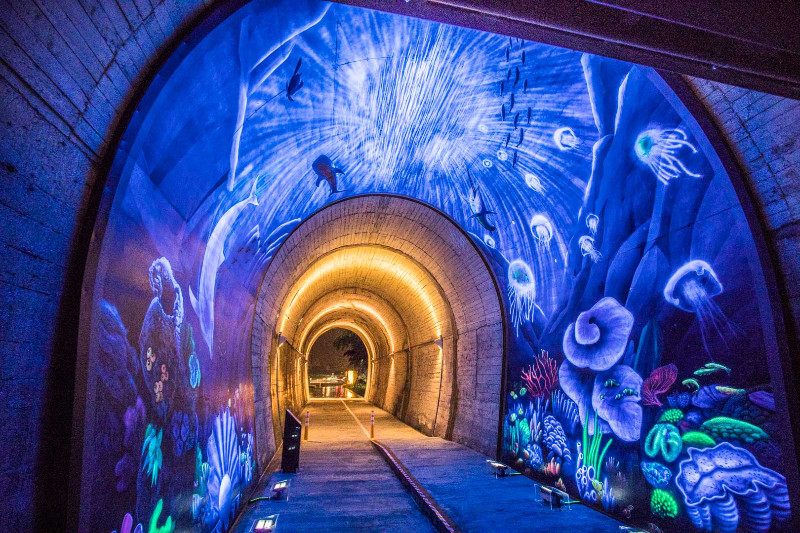 宜蘭景點,蘇澳景點,蘇東隧道3D海底彩繪隧道,蘇東隧道,3D海底彩繪隧道,宜蘭蘇東隧道3,宜蘭3D海底彩繪隧道
