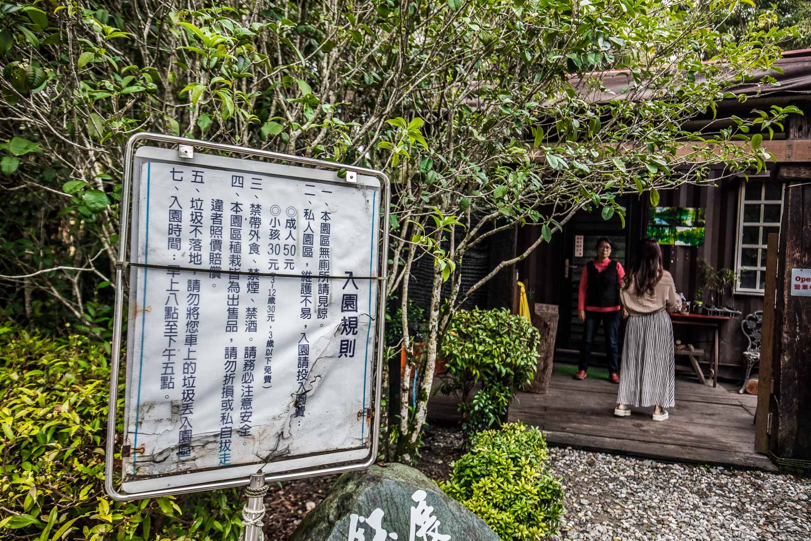 花蓮景點,花蓮落羽松,花蓮落羽松森林,花蓮網美景點,鈺展苗圃落羽松森林,花蓮鈺展苗圃落羽松森林,鈺展苗圃