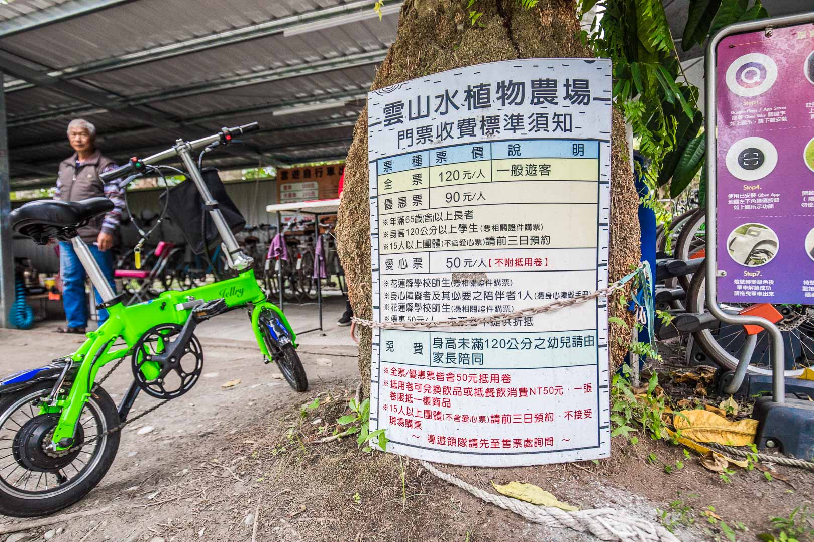 花蓮景點,花蓮落羽松,花蓮落羽松森林,花蓮IG,花蓮雲山水,雲山水夢幻湖
