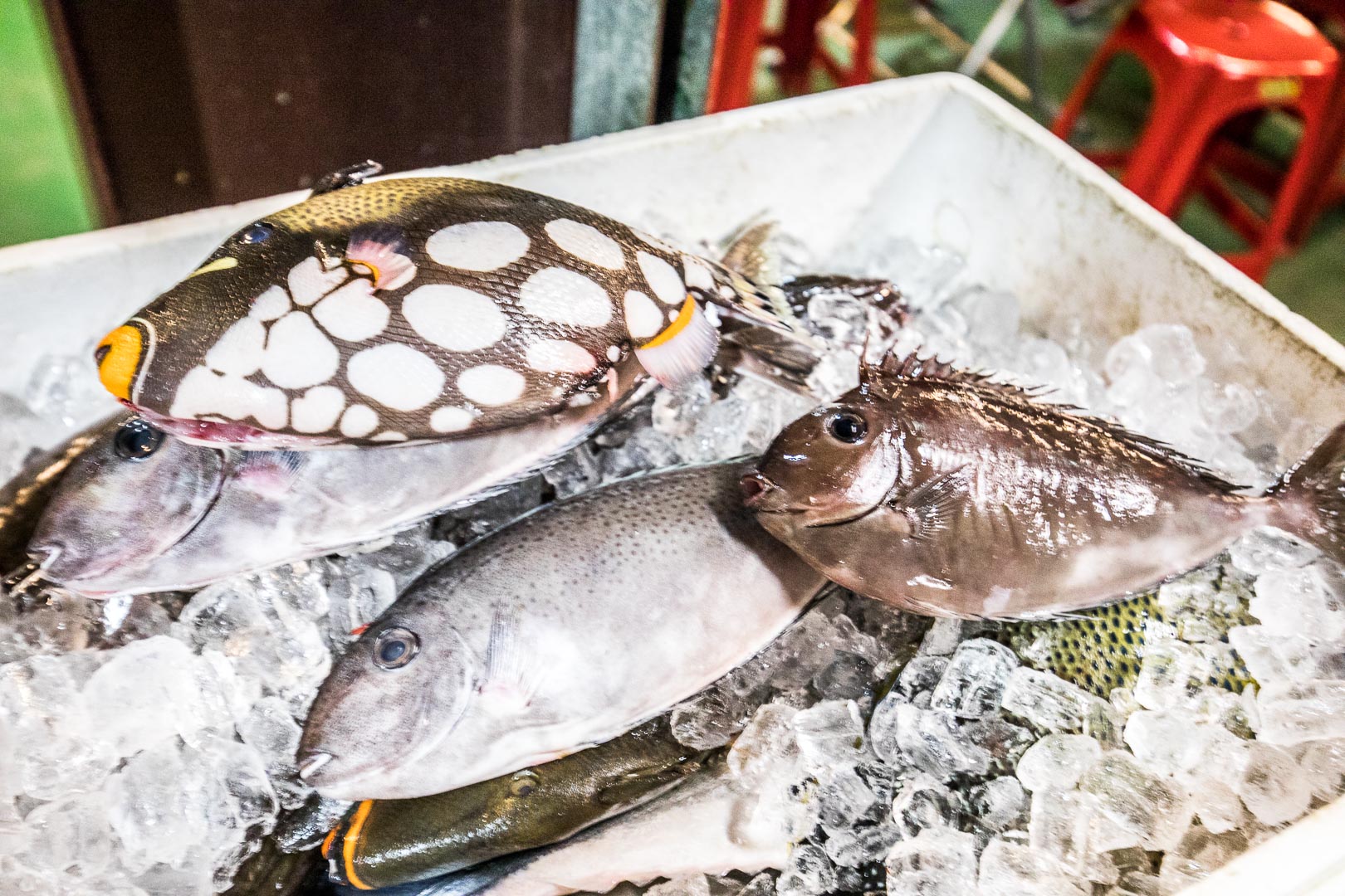 花蓮排隊美食,花蓮烤肉,花蓮烤魚,花蓮東大門夜市美食,米噹泰式烤肉,花蓮必吃,花蓮美食,花蓮燒烤,花蓮泰式料理