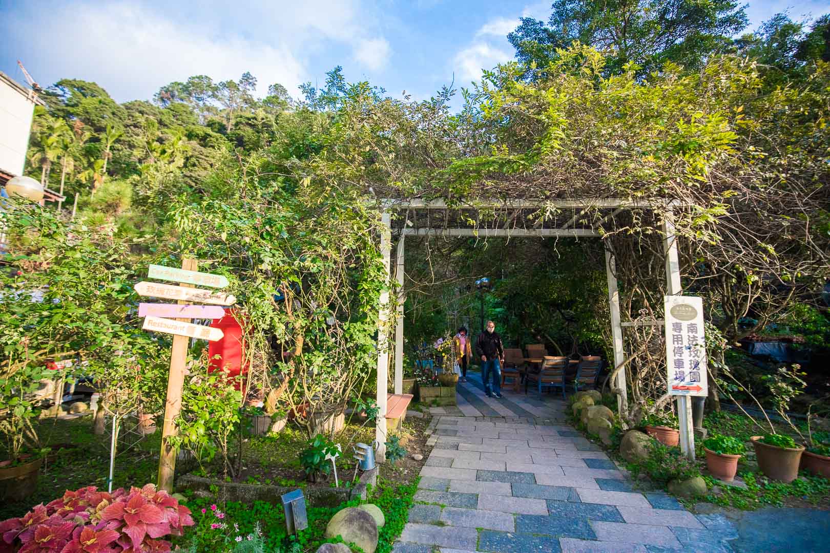 大溪南法玫瑰園,南法玫瑰園,桃園景點,大溪景點,大溪美食,大溪網美景點,大溪網美咖啡廳,桃園咖啡廳,Emmie的南法玫瑰園