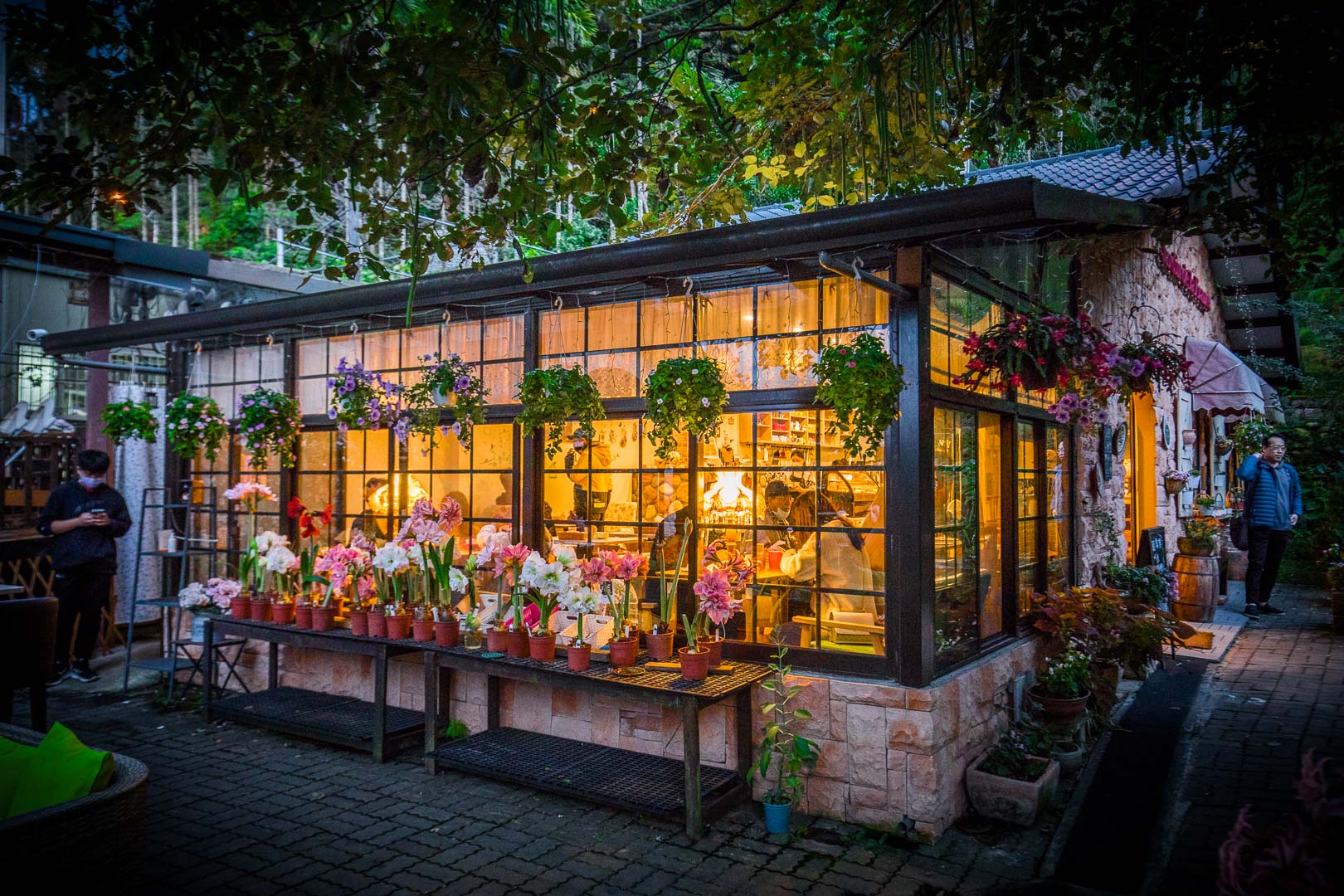 大溪南法玫瑰園,南法玫瑰園,桃園景點,大溪景點,大溪美食,大溪網美景點,大溪網美咖啡廳,桃園咖啡廳,Emmie的南法玫瑰園