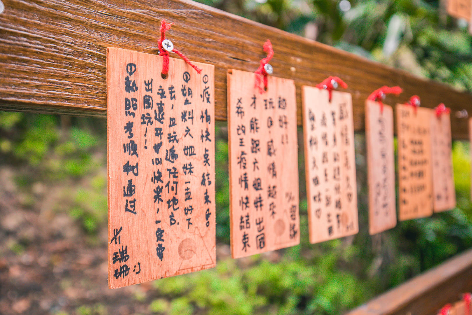 花蓮山度空間,花蓮景點,花蓮網美景點,花蓮旅遊,壽豐景點,山度空間