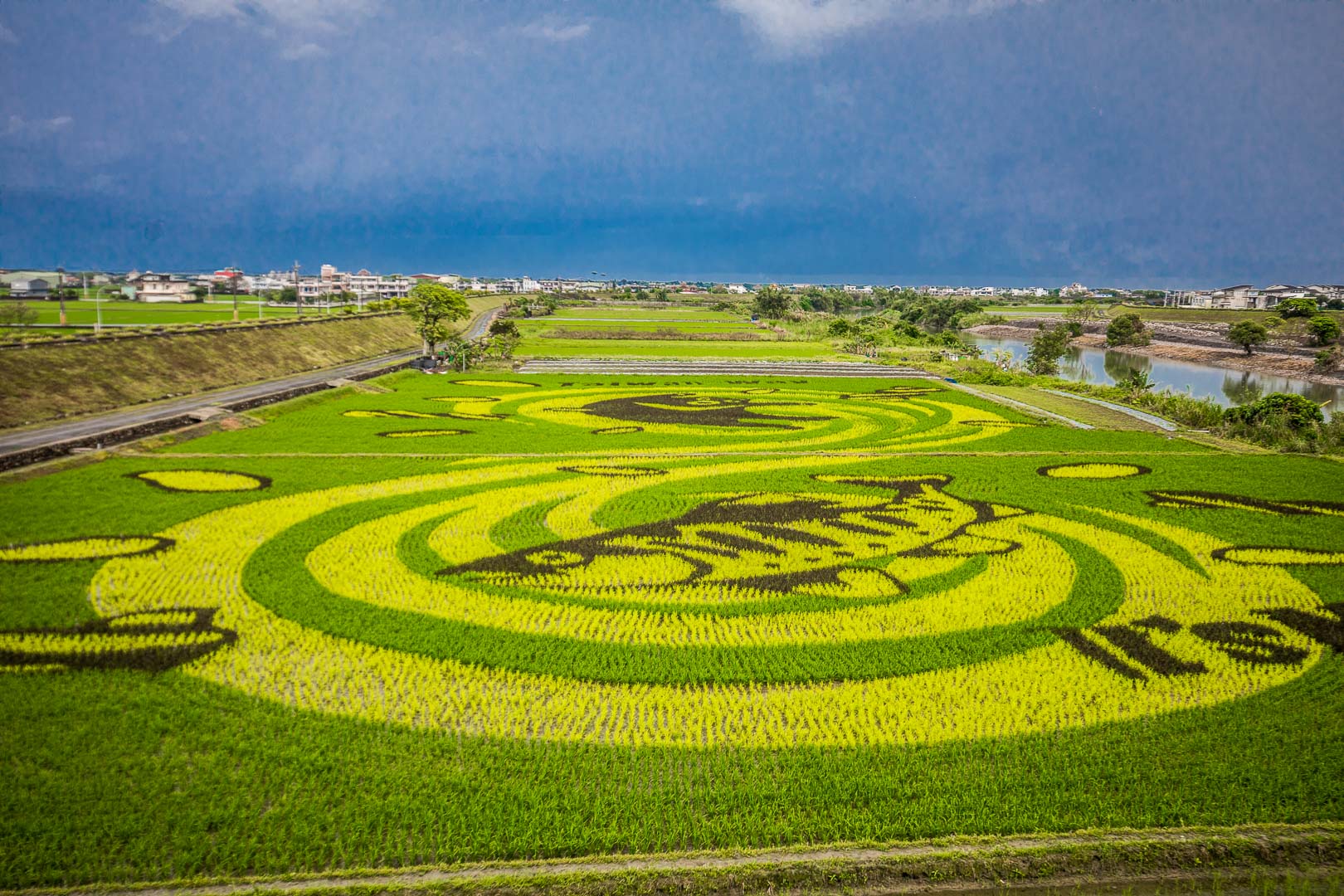 古亭穀倉3D彩繪,宜蘭稻田彩繪,宜蘭IG景點,宜蘭景點,可樂果台Way生活節