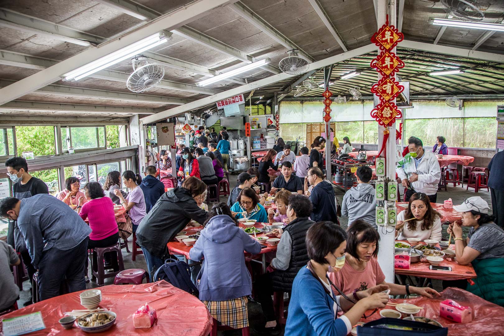 陽明山土雞,青菜園