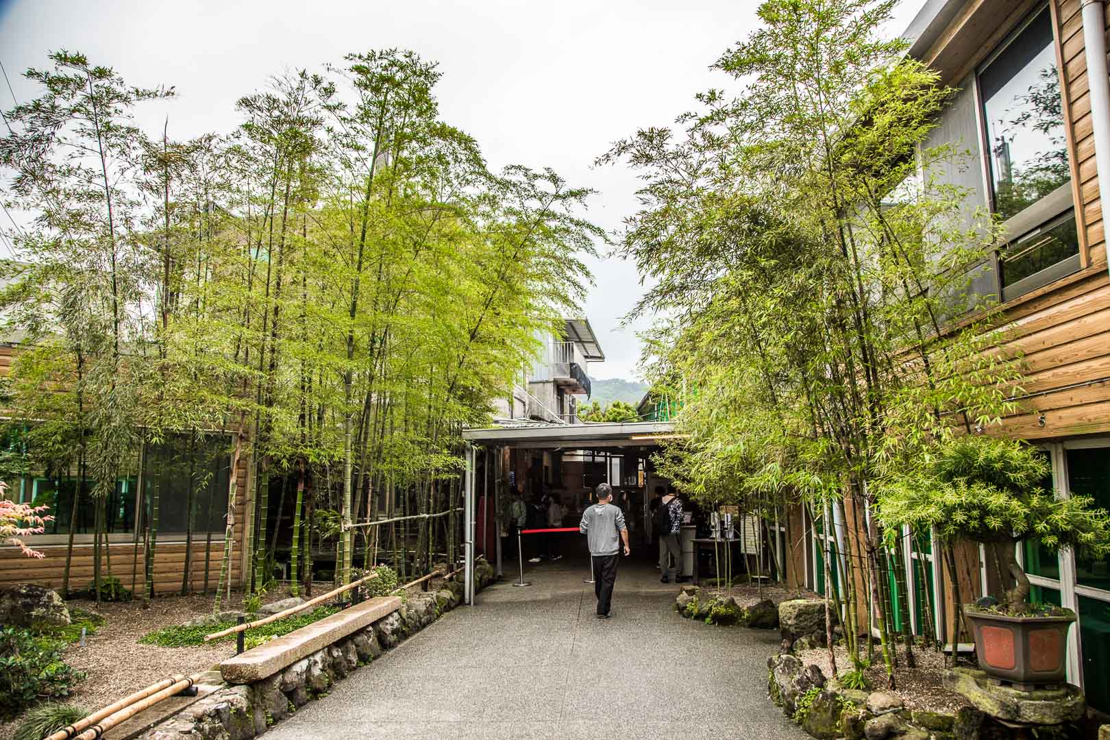 陽明山土雞,松竹園土雞城