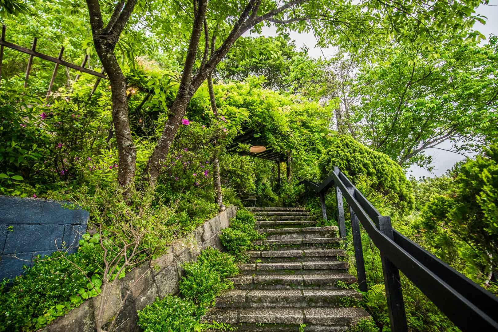 陽明山咖啡,野人花園