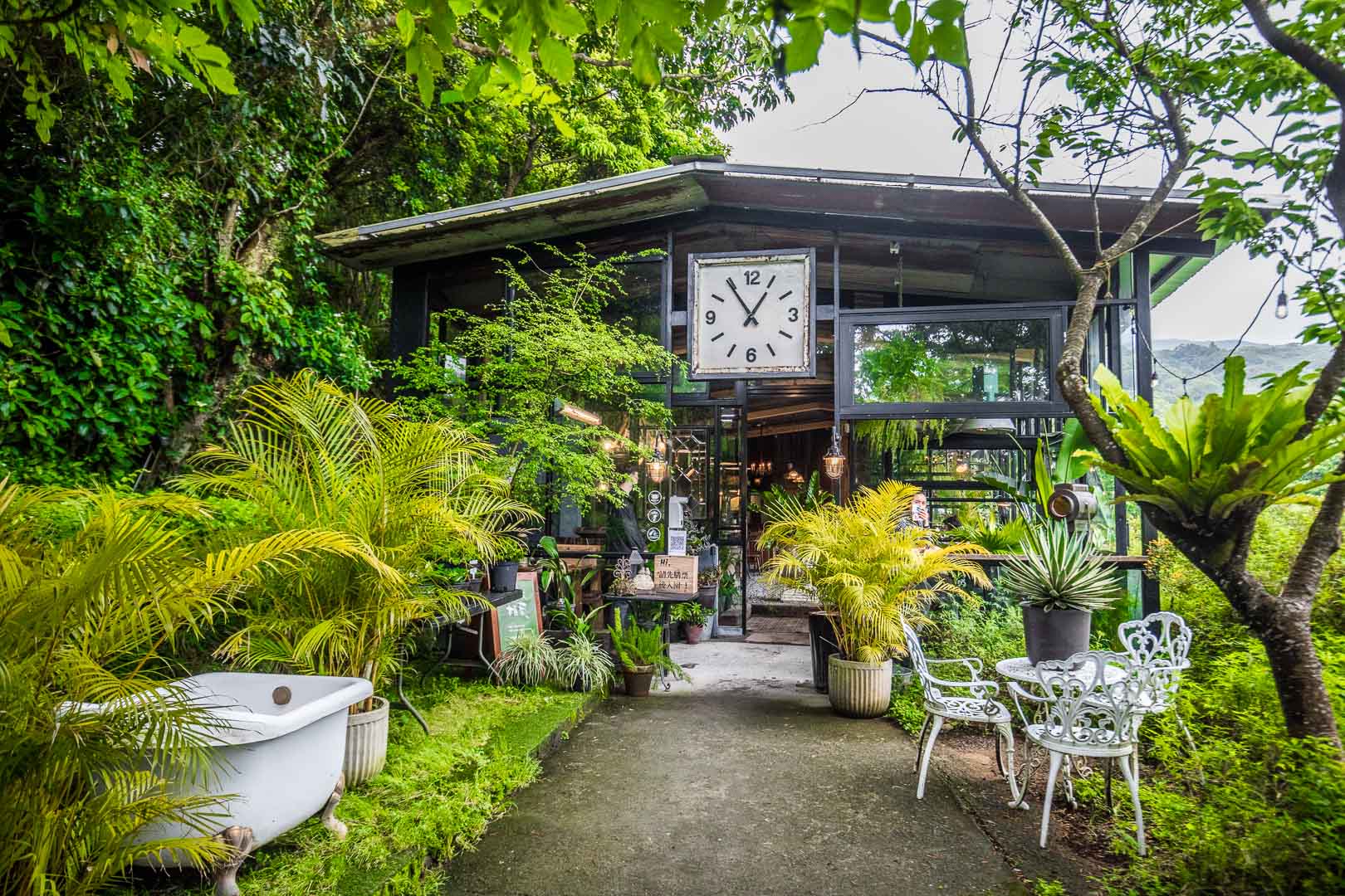 陽明山咖啡,野人花園