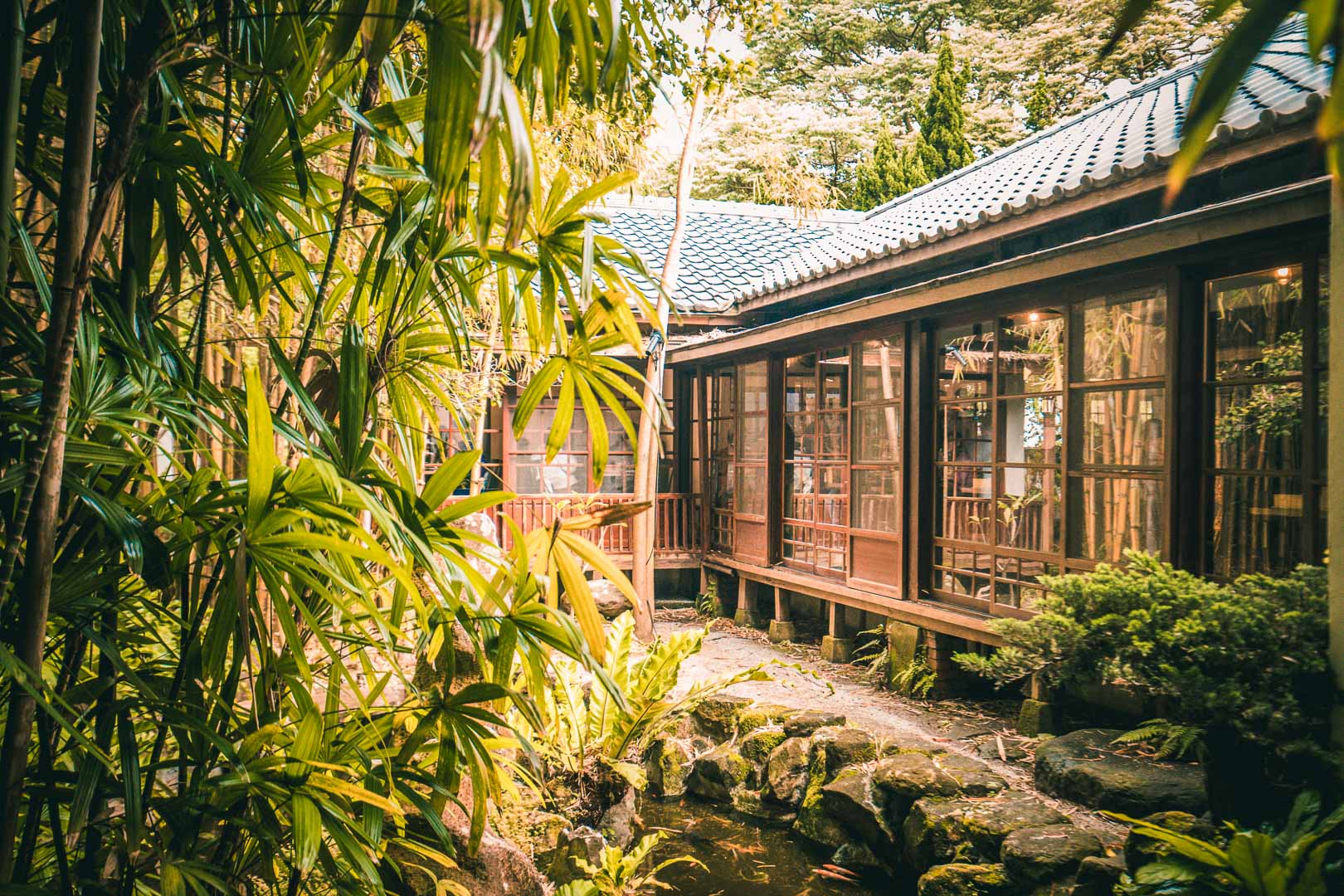 陽明山美食,陽明山景點,陽明山咖啡廳,陽明山網美景點,陽明山豆留森林