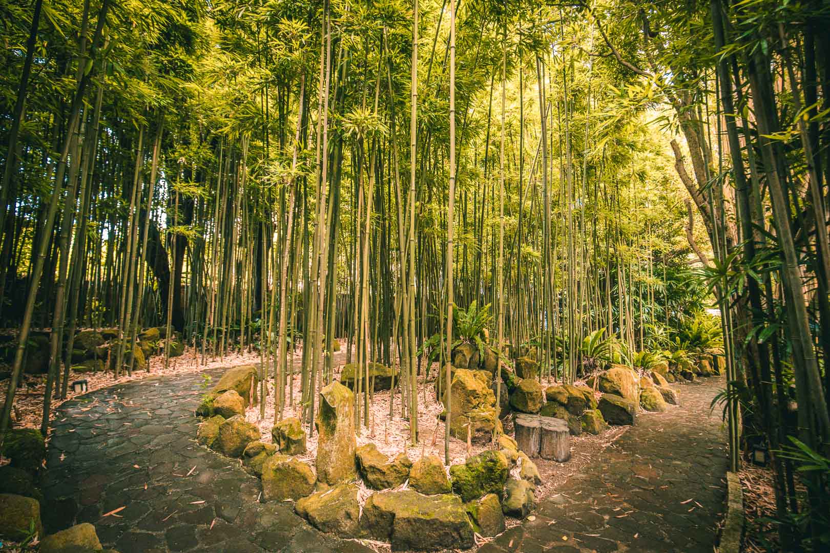 陽明山美食,陽明山景點,陽明山咖啡廳,陽明山網美景點,陽明山豆留森林