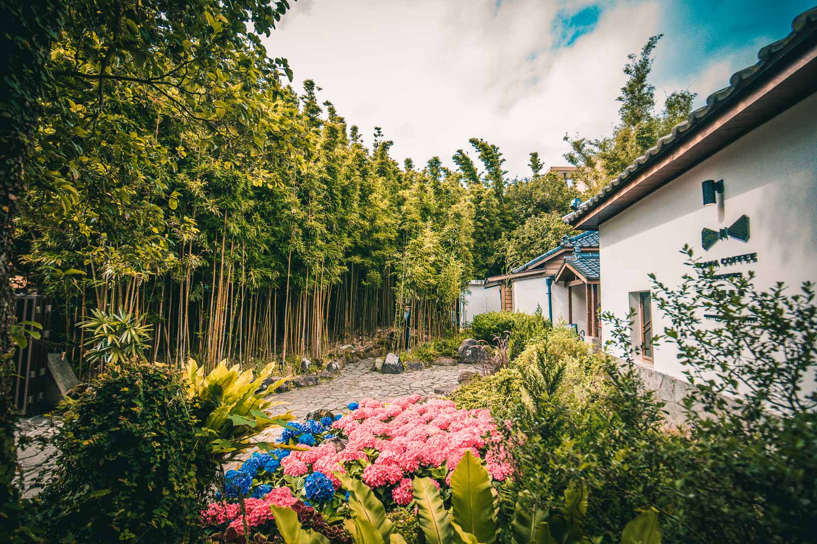 陽明山美食,陽明山景點,陽明山咖啡廳,陽明山網美景點,陽明山豆留森林
