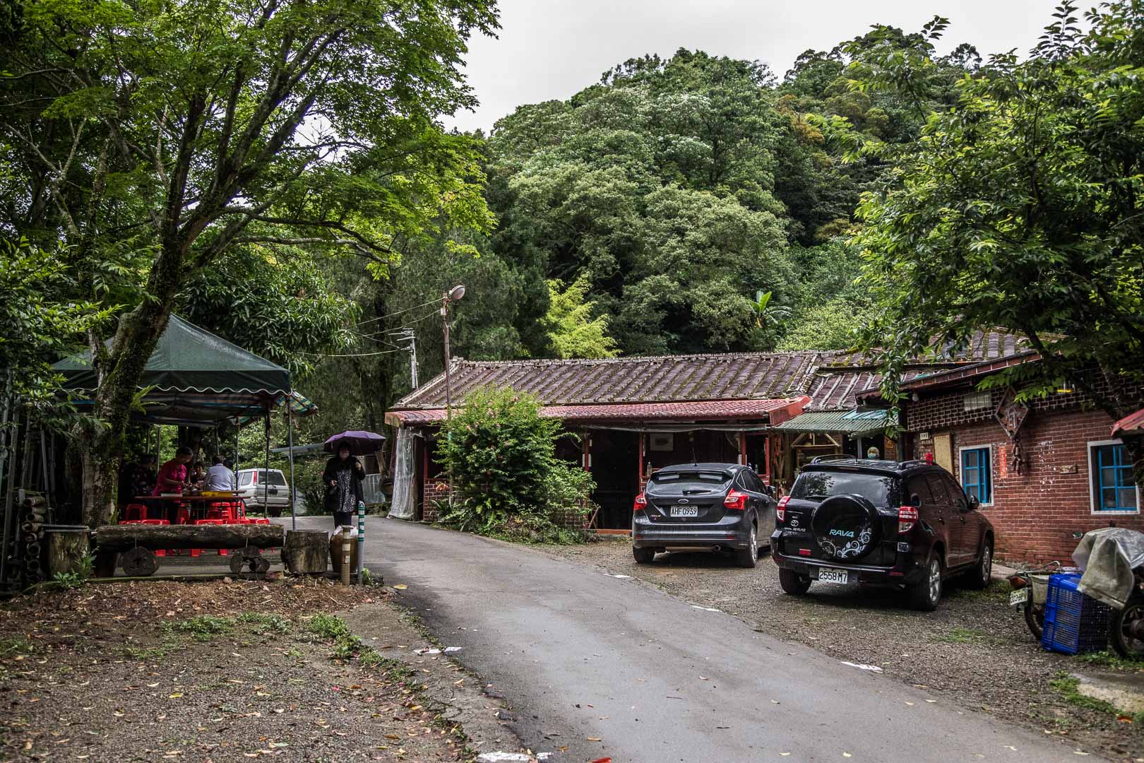 大溪美食,阮家莊土雞城