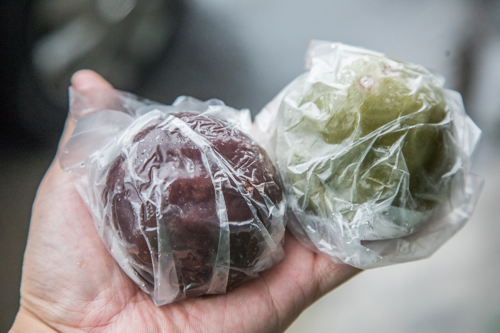 桃園肉粽,中壢肉粽,桃園鹼粽,中壢鹼粽,佳珍姐肉粽菜包艾草粄,中壢美食,桃園美食,龍岡美食